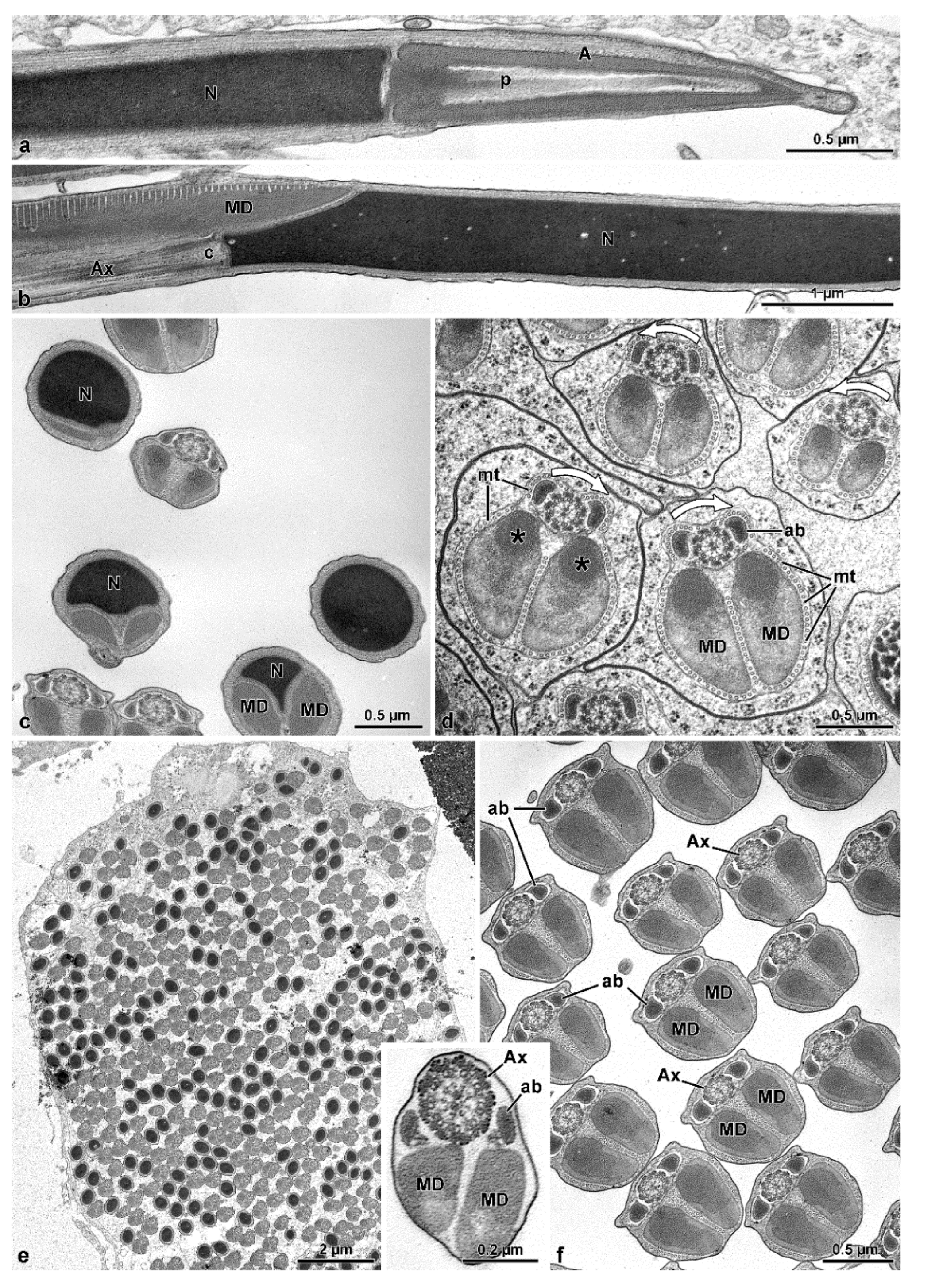 Insects 13 00485 g012