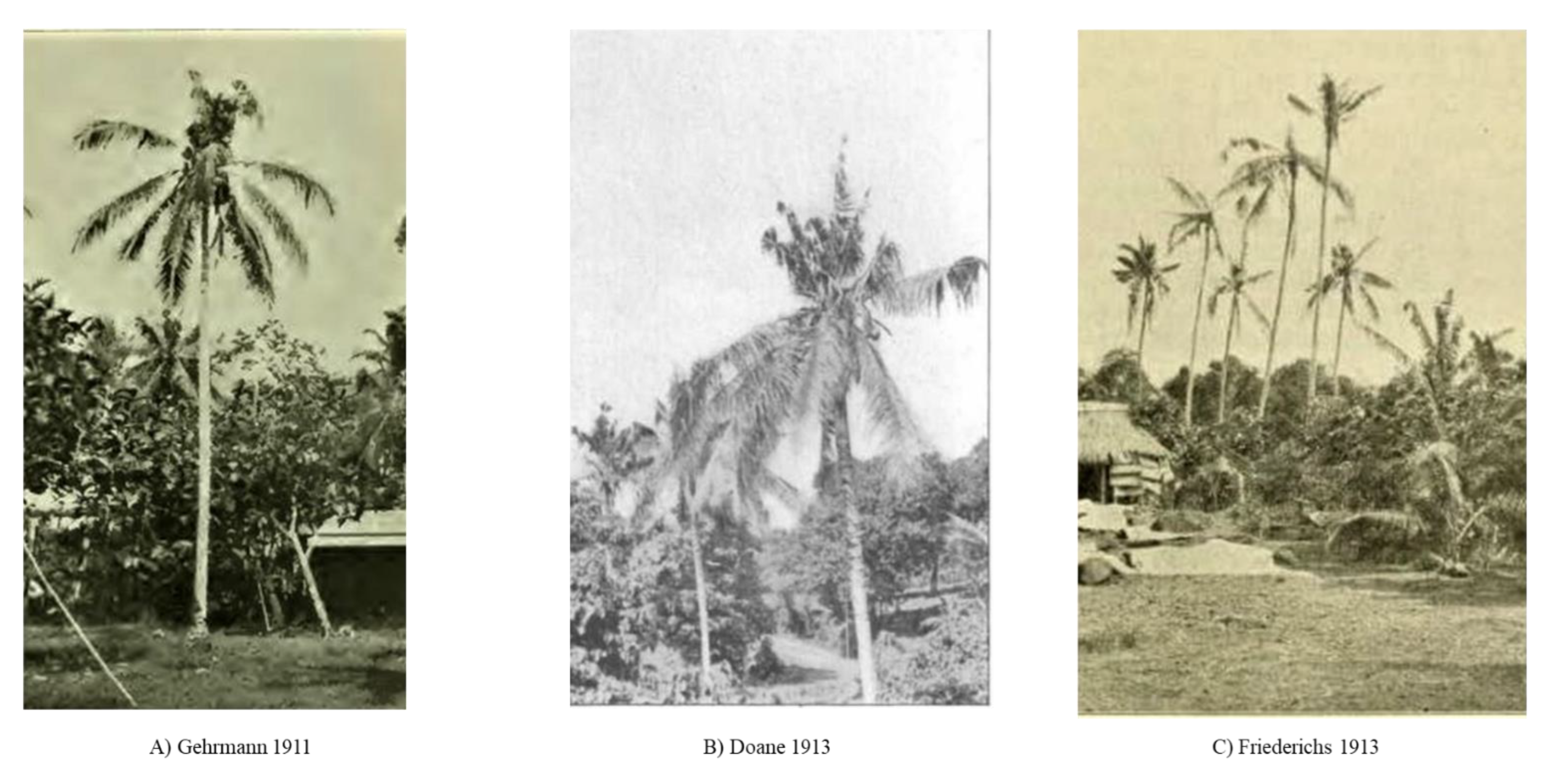 Insects 13 00487 g002