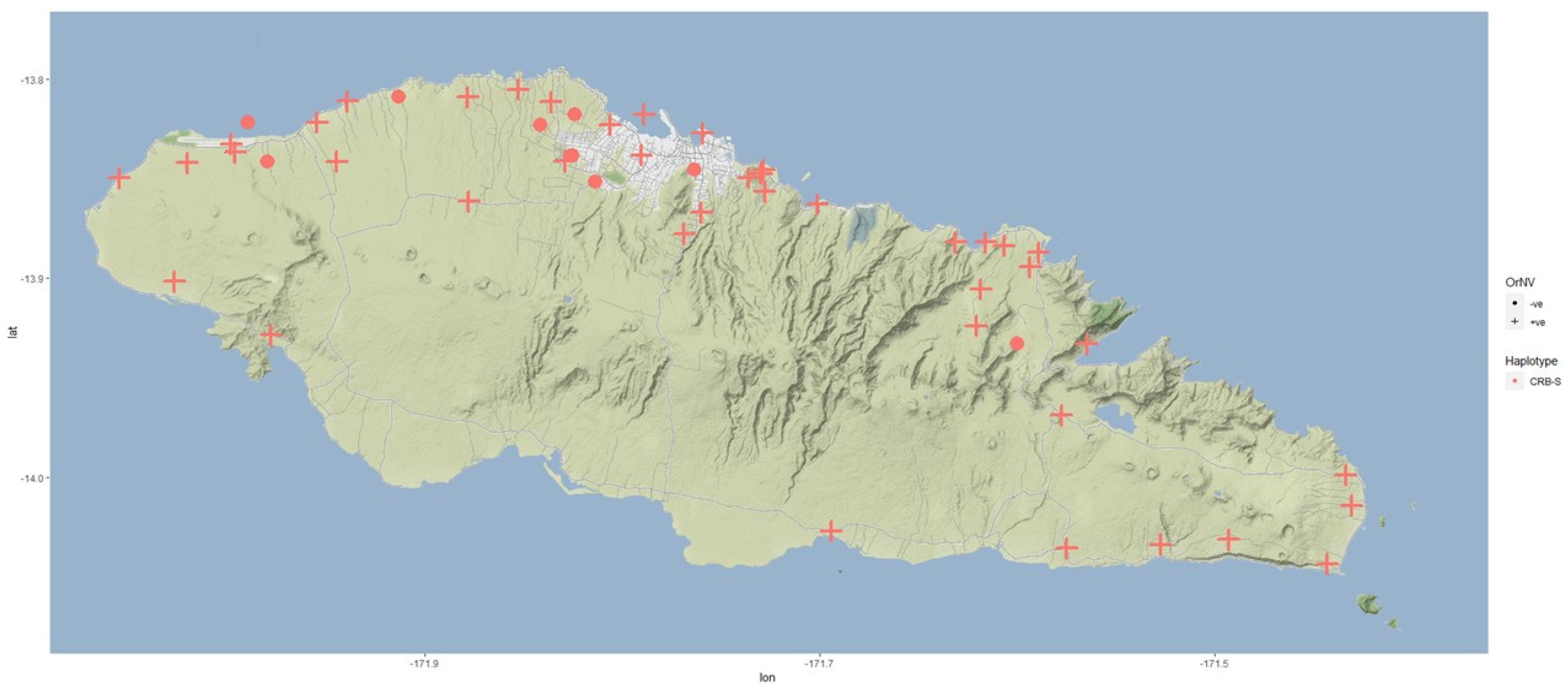 Insects 13 00487 g006