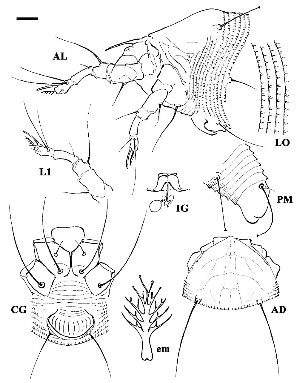 Insects 13 00489 g001