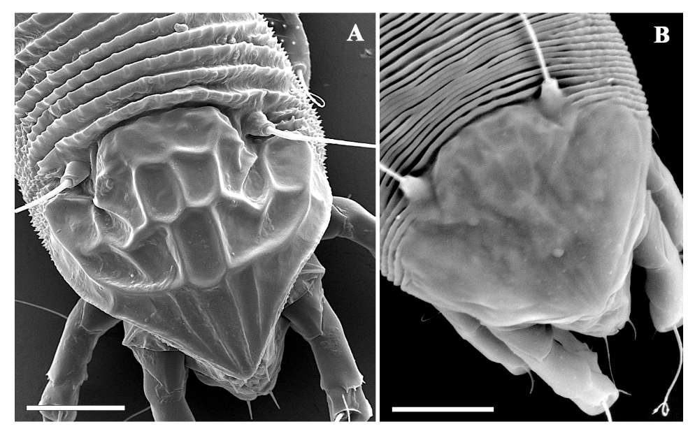 Insects 13 00489 g003