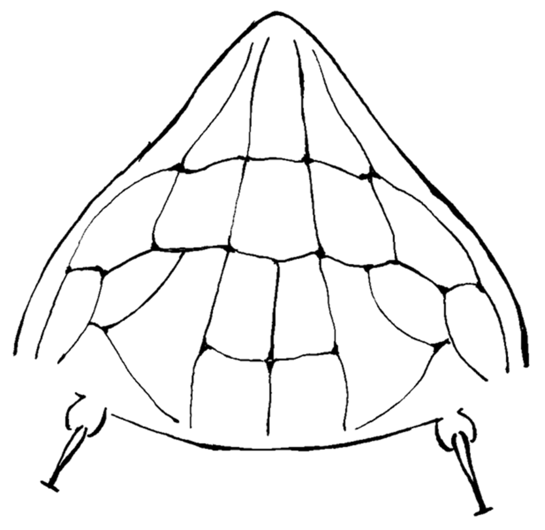 Insects 13 00489 g004