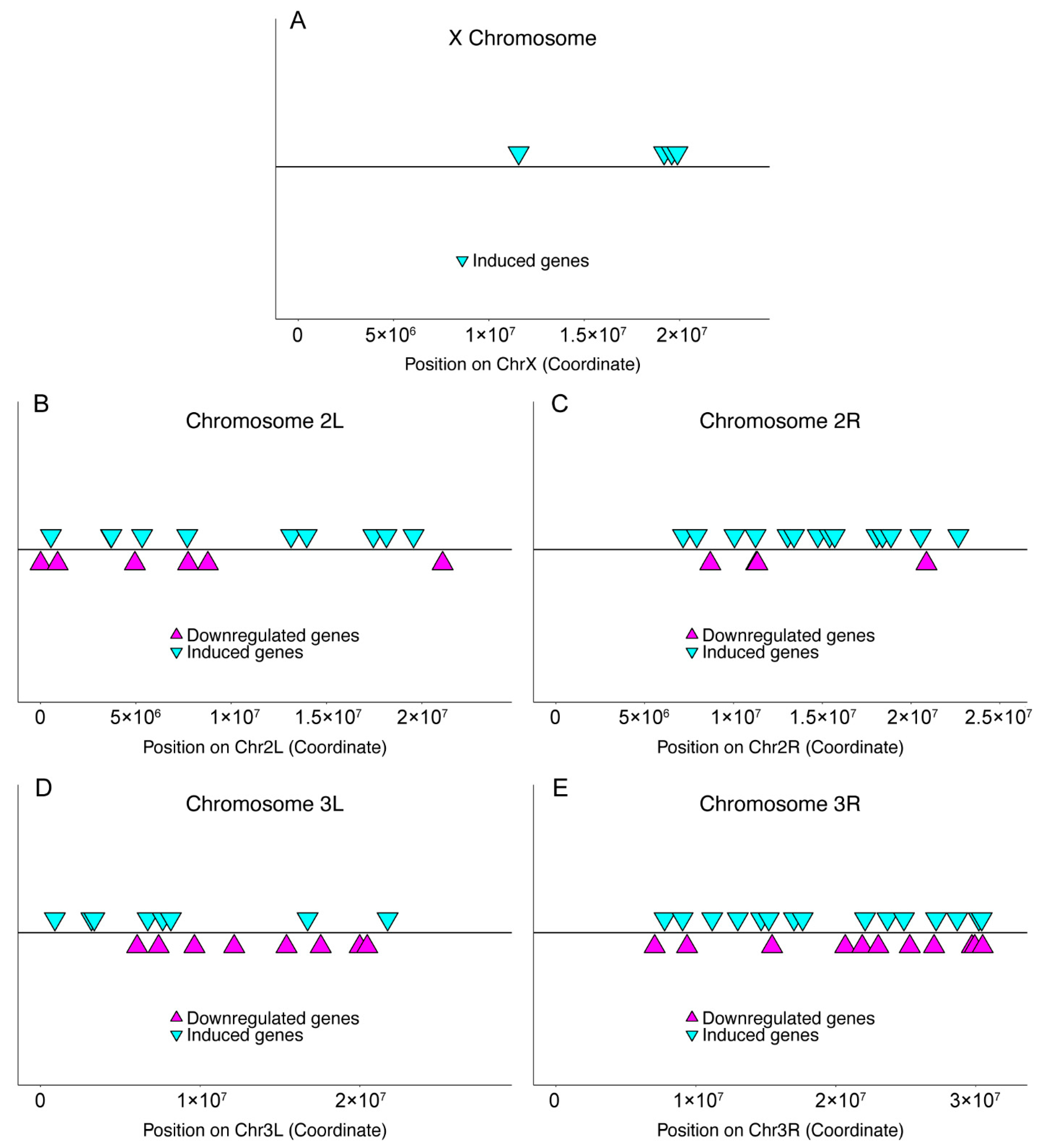 Insects 13 00490 g001