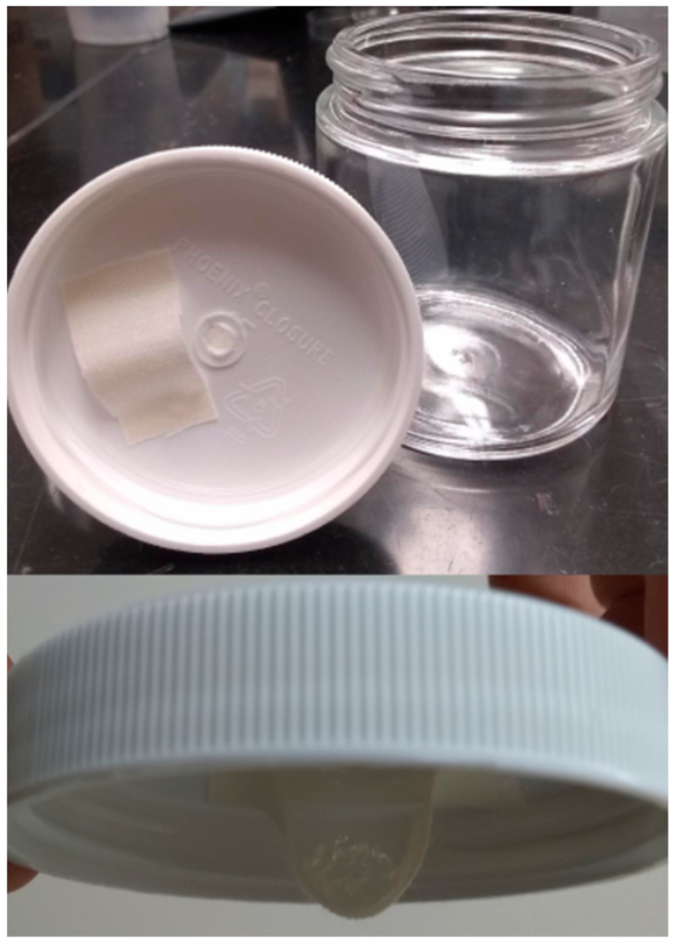 Insects 13 00493 g001