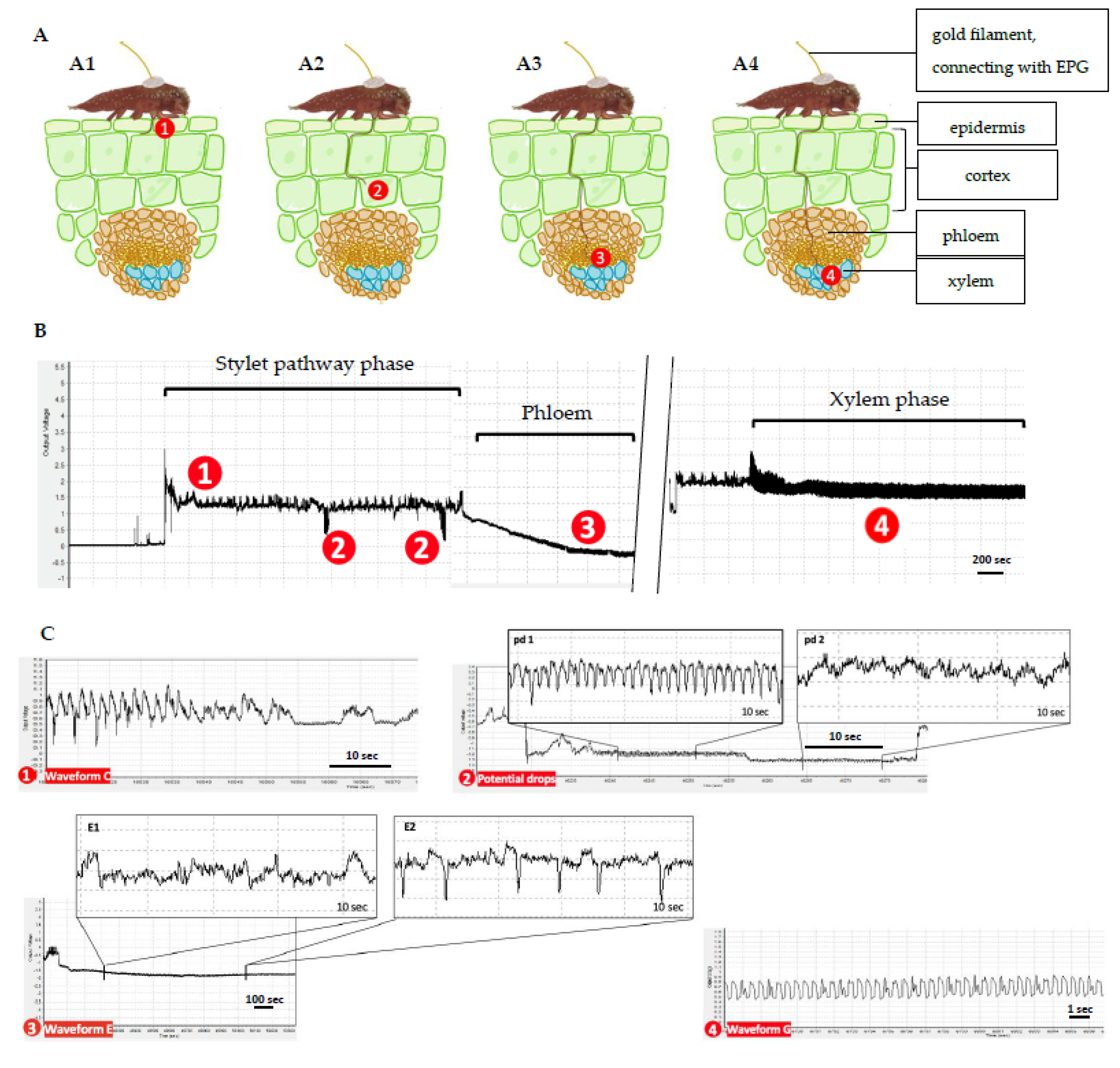 Insects 13 00495 g001