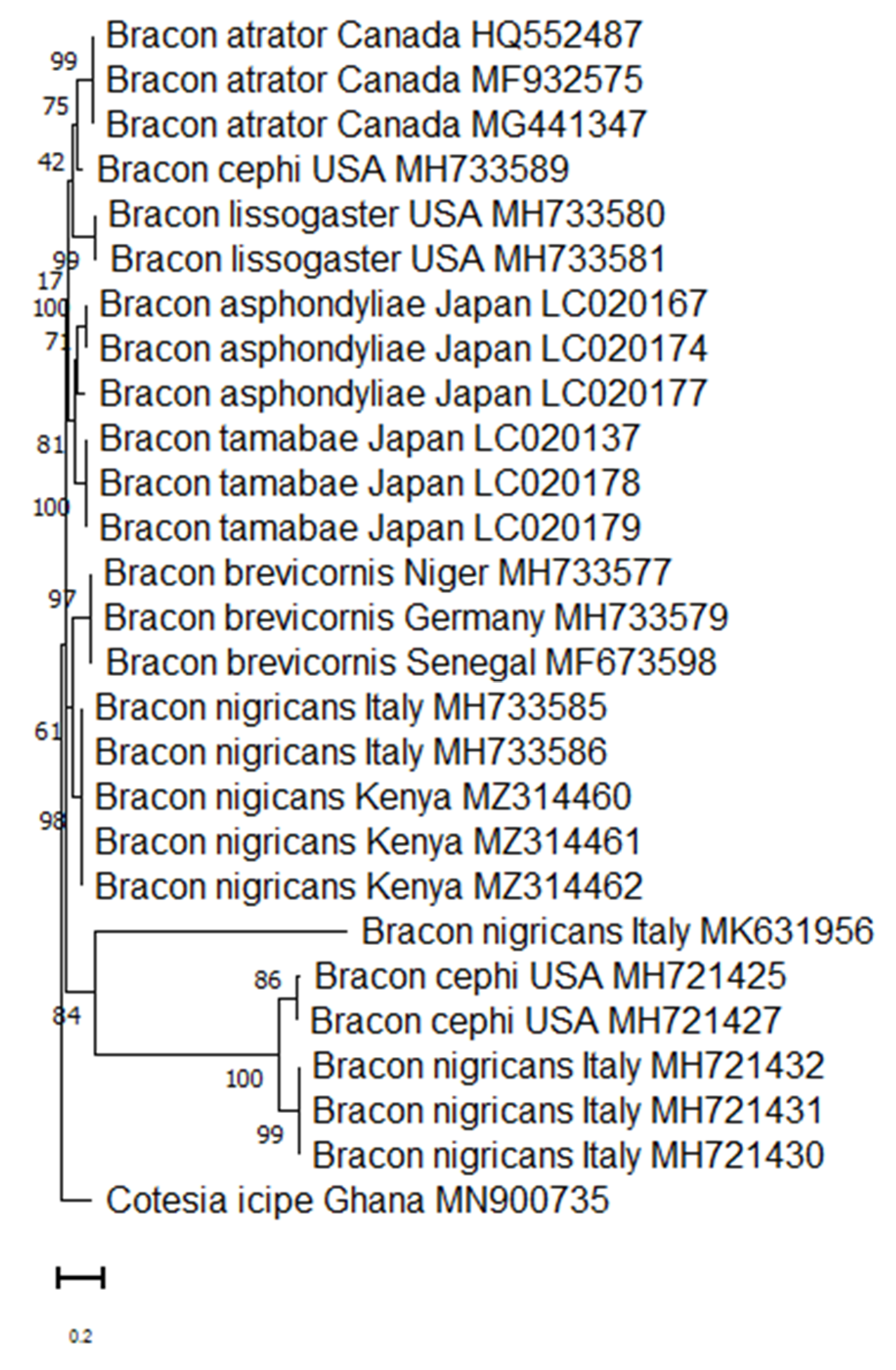 Insects 13 00496 g001