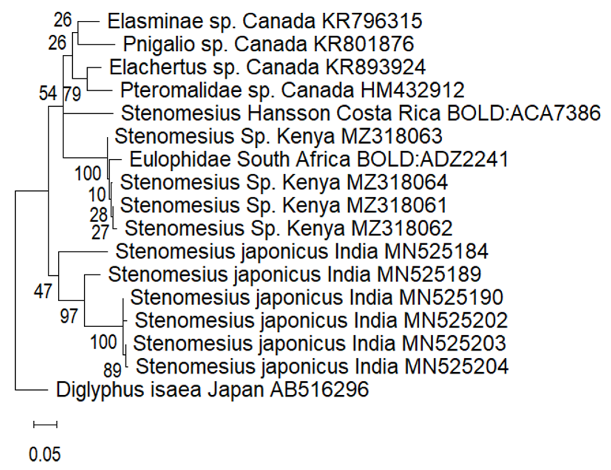 Insects 13 00496 g002