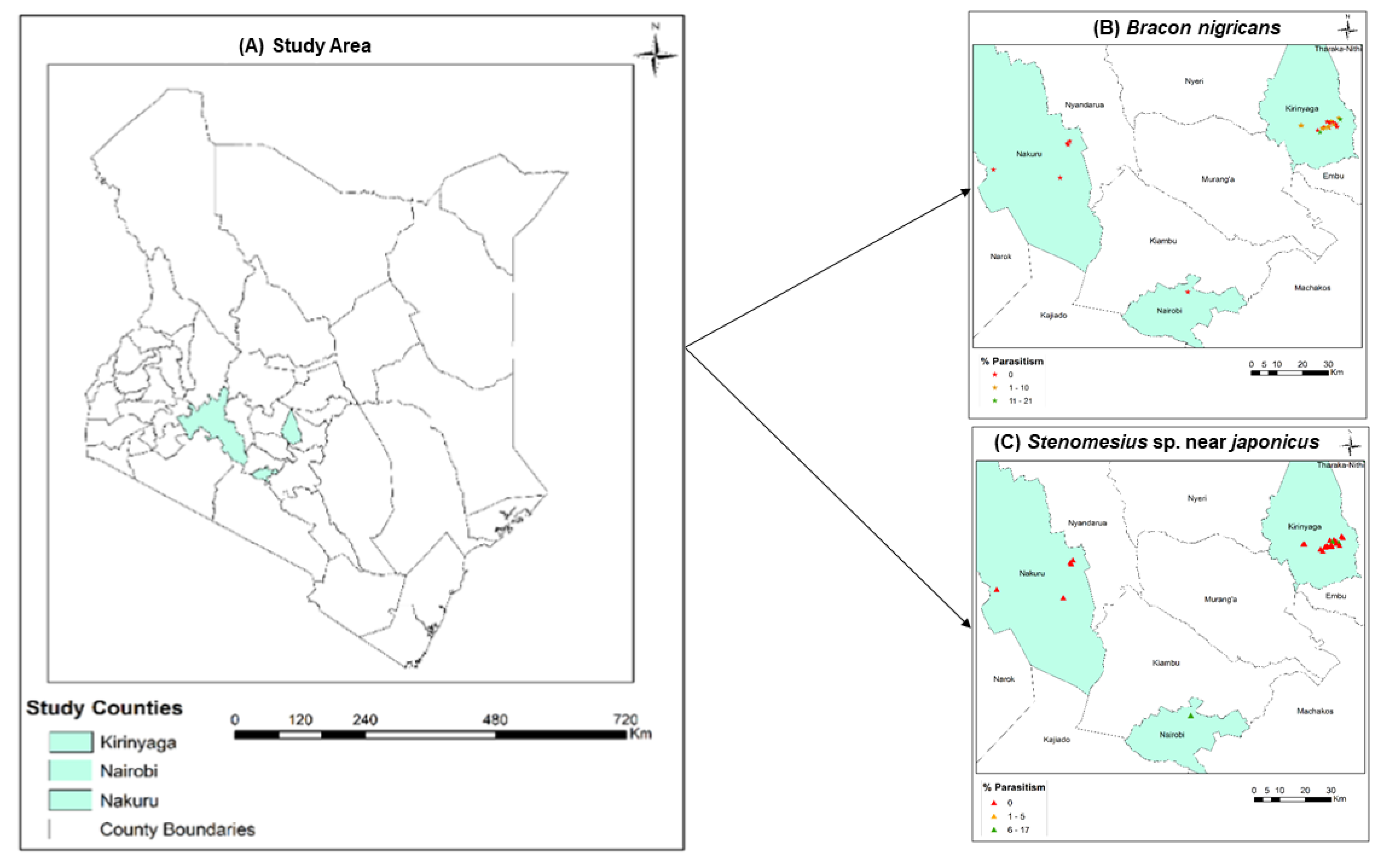 Insects 13 00496 g004