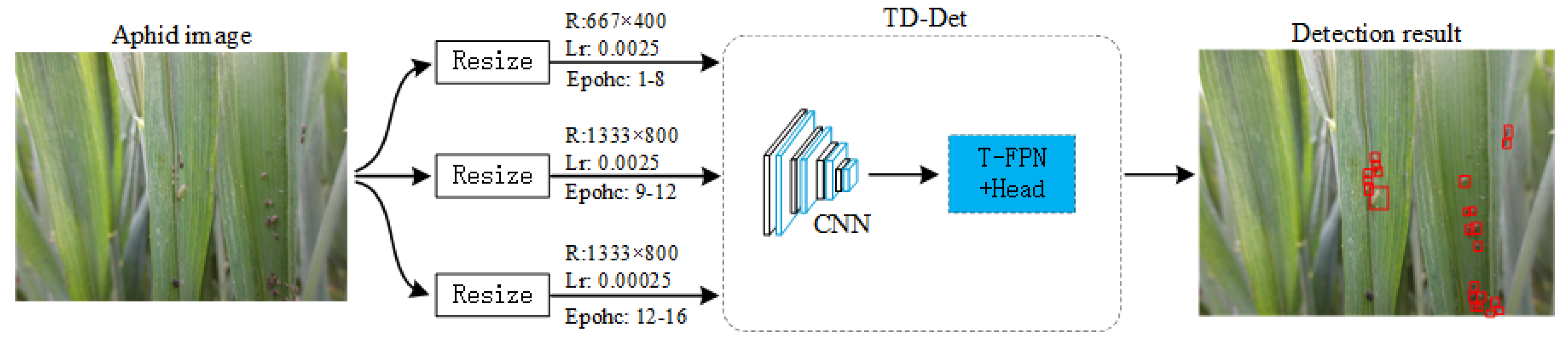 Insects 13 00501 g003