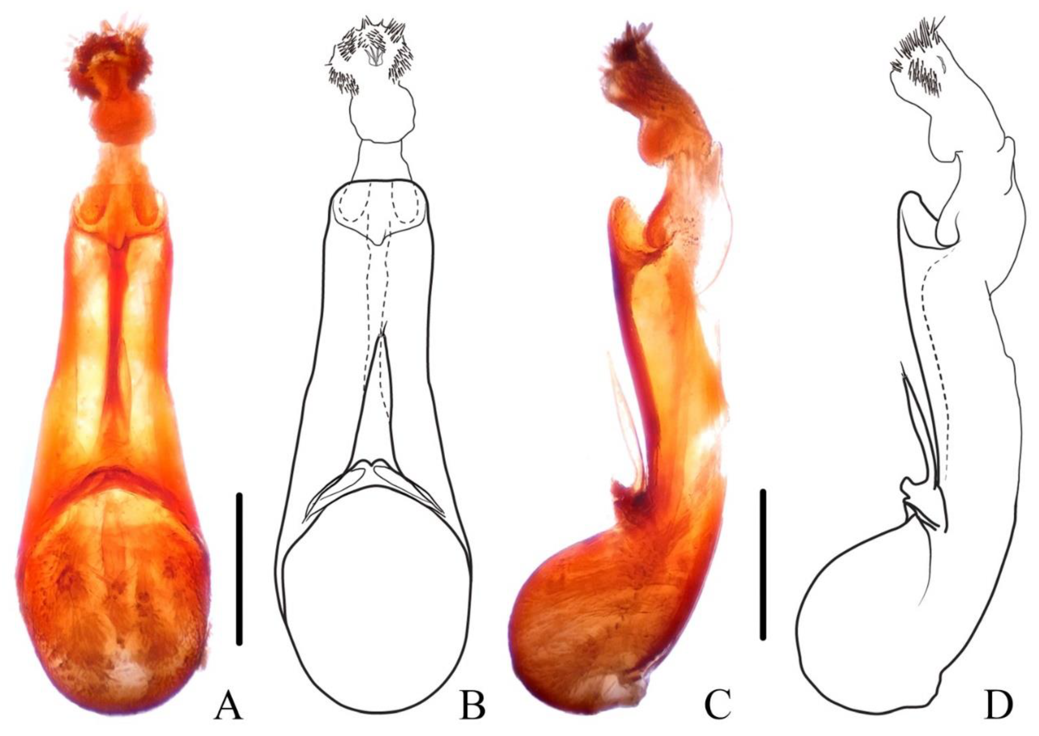 Insects 13 00503 g009