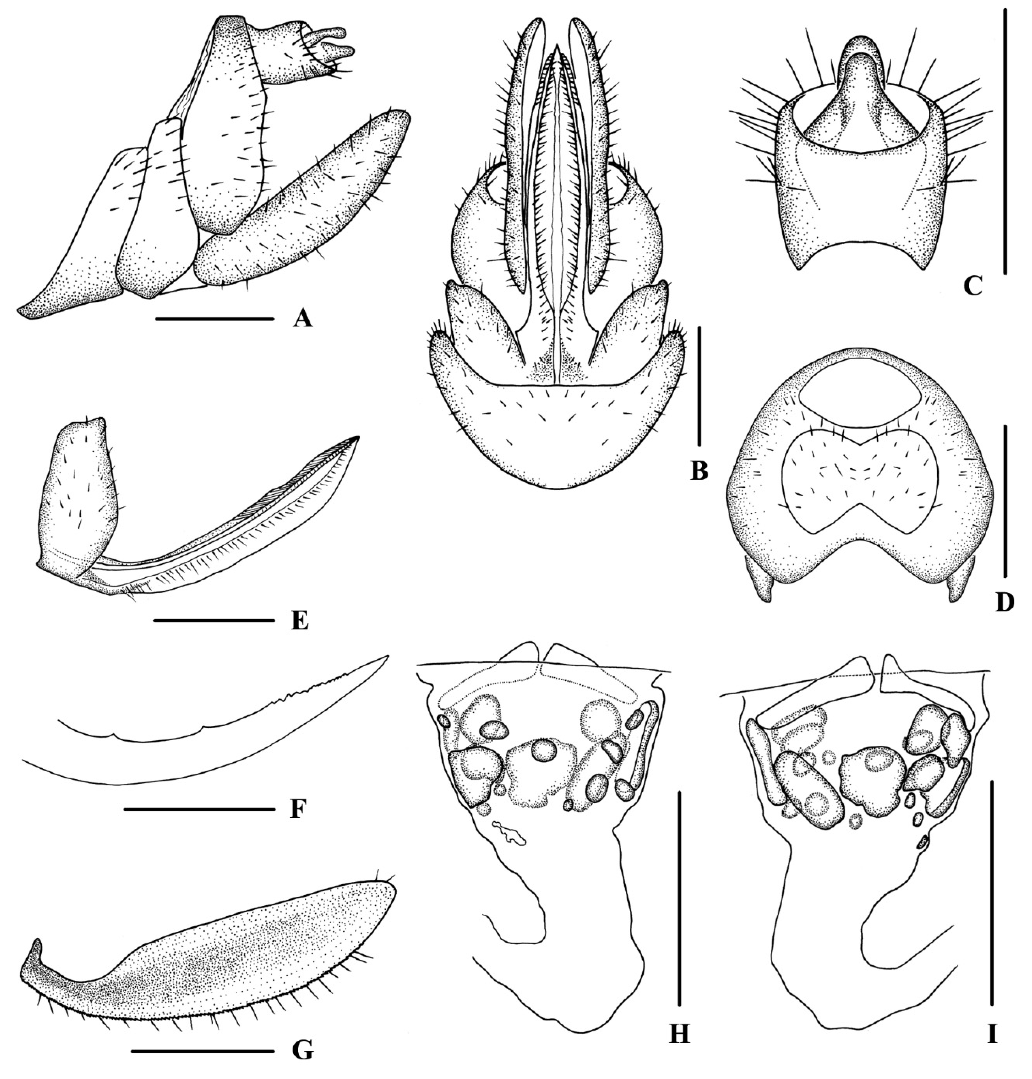 Insects 13 00512 g002