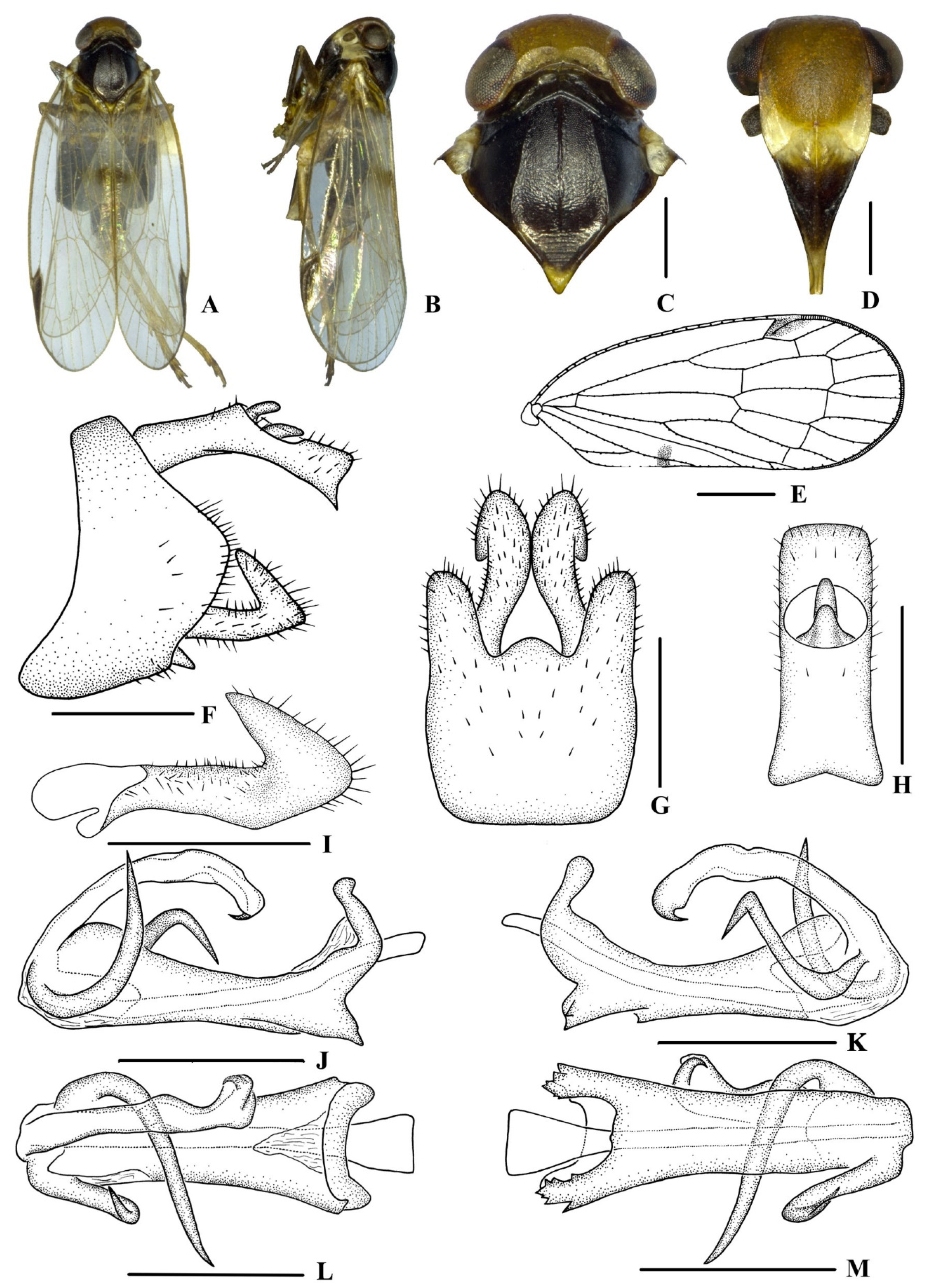 Insects 13 00512 g003