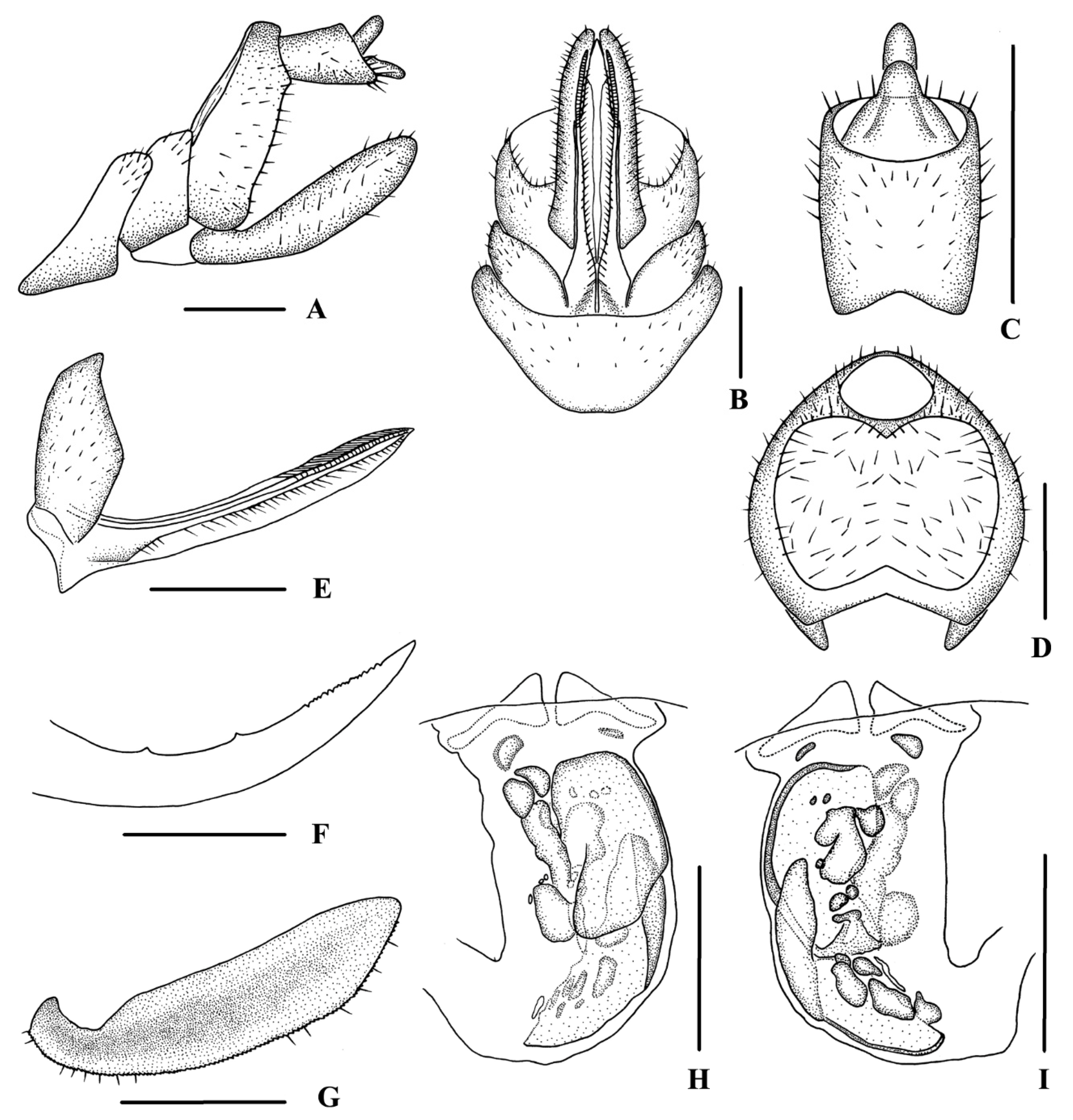 Insects 13 00512 g004