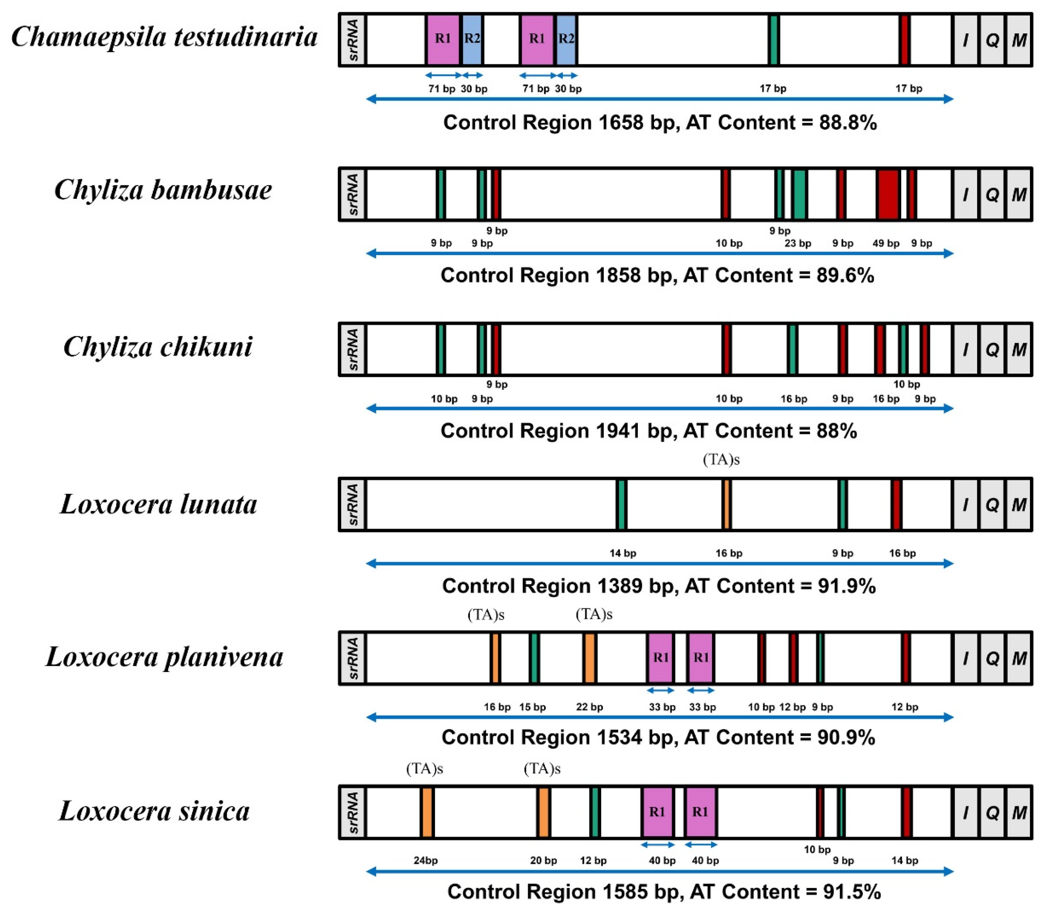 Insects 13 00518 g005