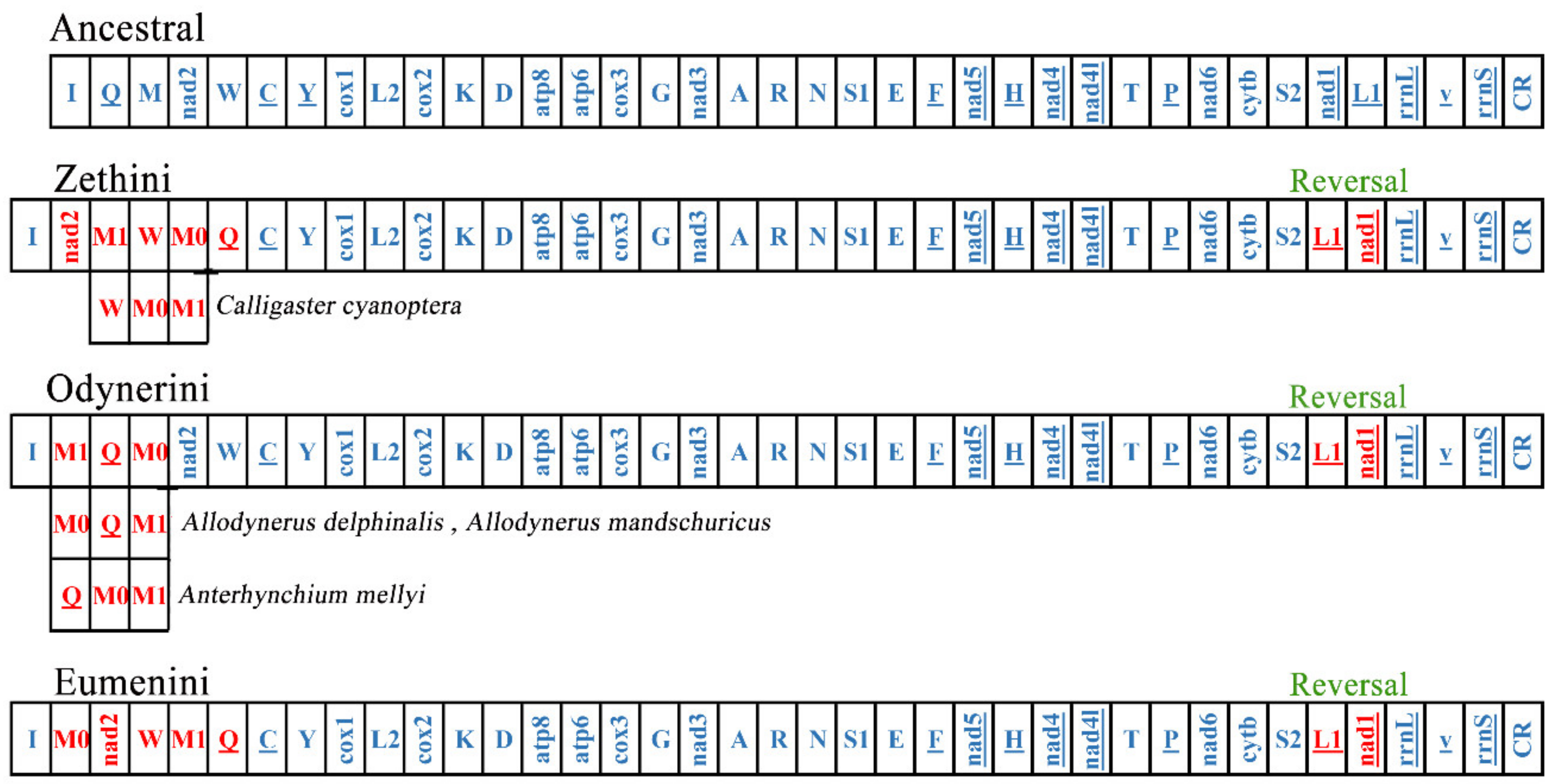 Insects 13 00529 g006 Insects 13 00529 g006