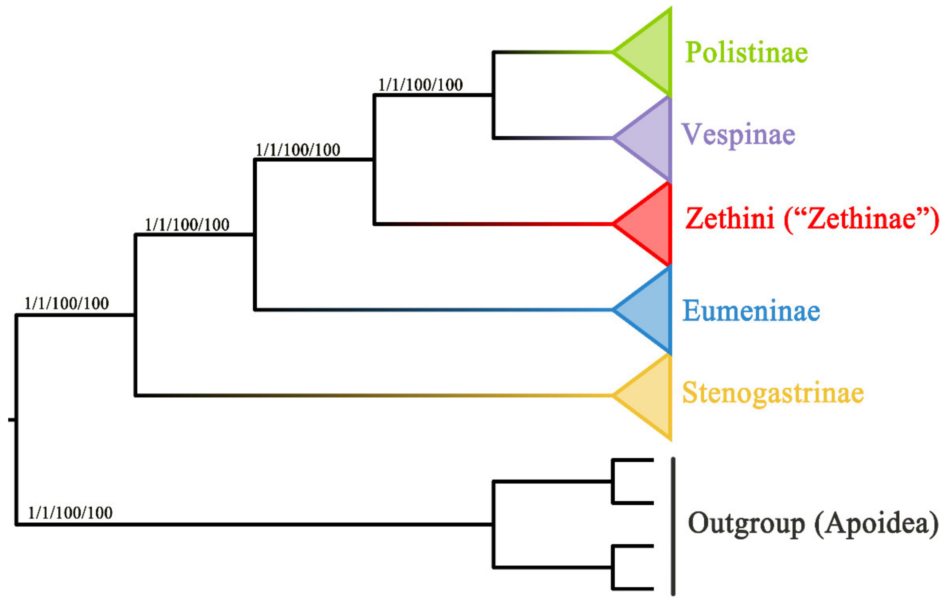 Insects 13 00529 g007 Insects 13 00529 g007