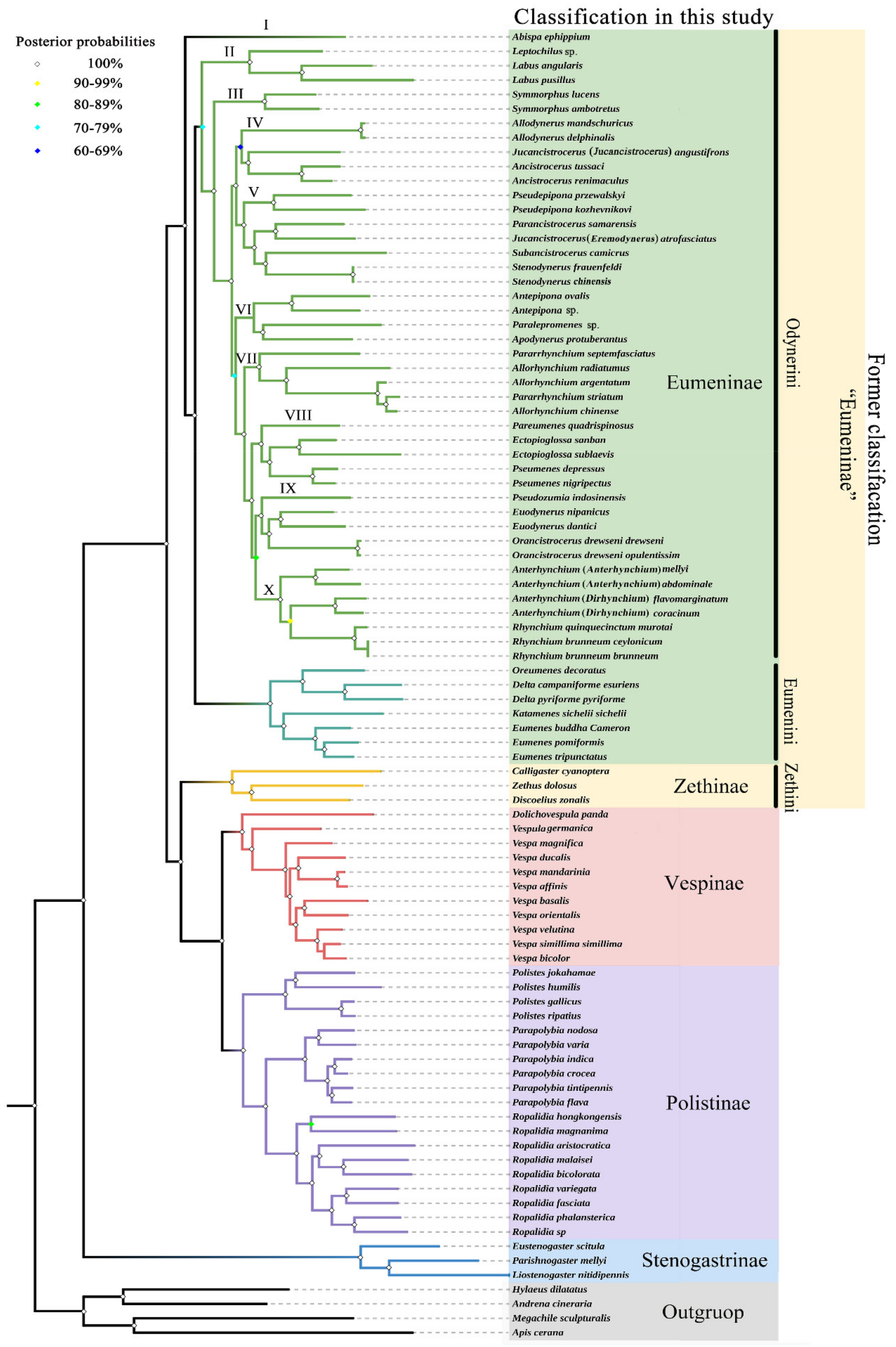 Insects 13 00529 g008 Insects 13 00529 g008