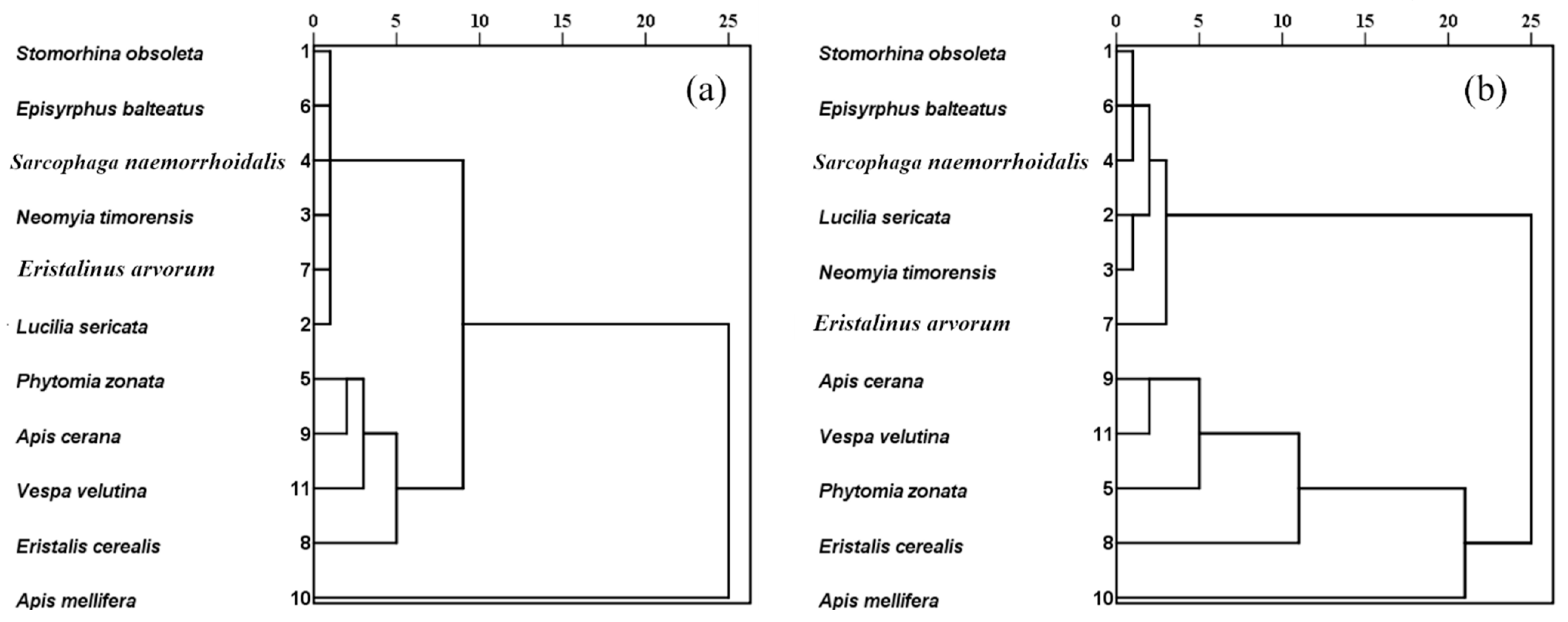 Insects 13 00539 g004