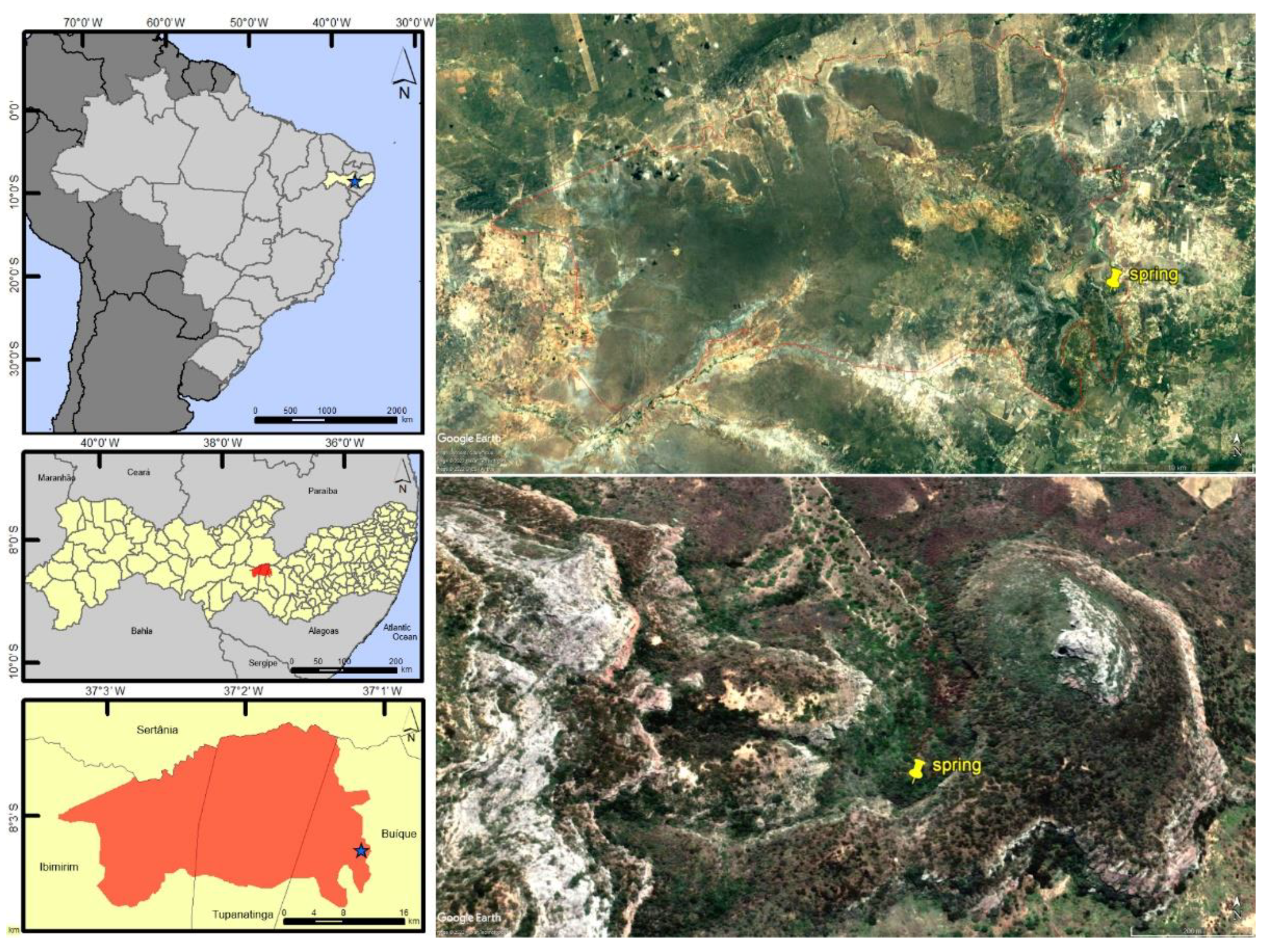 Insects 13 00541 g004