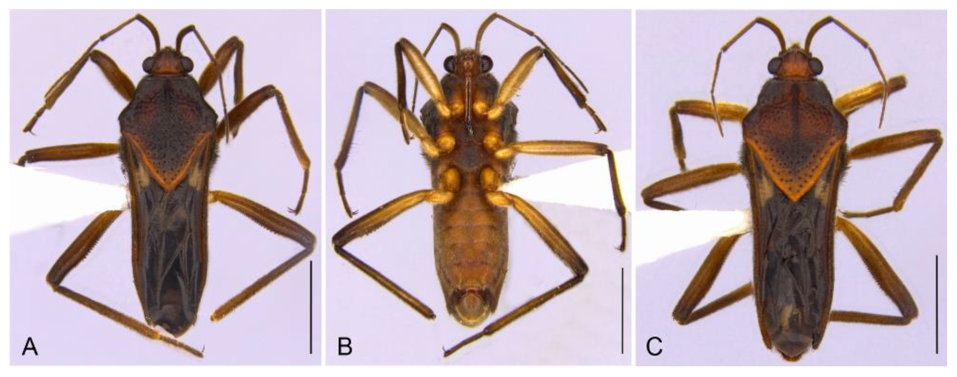 Insects 13 00541 g010