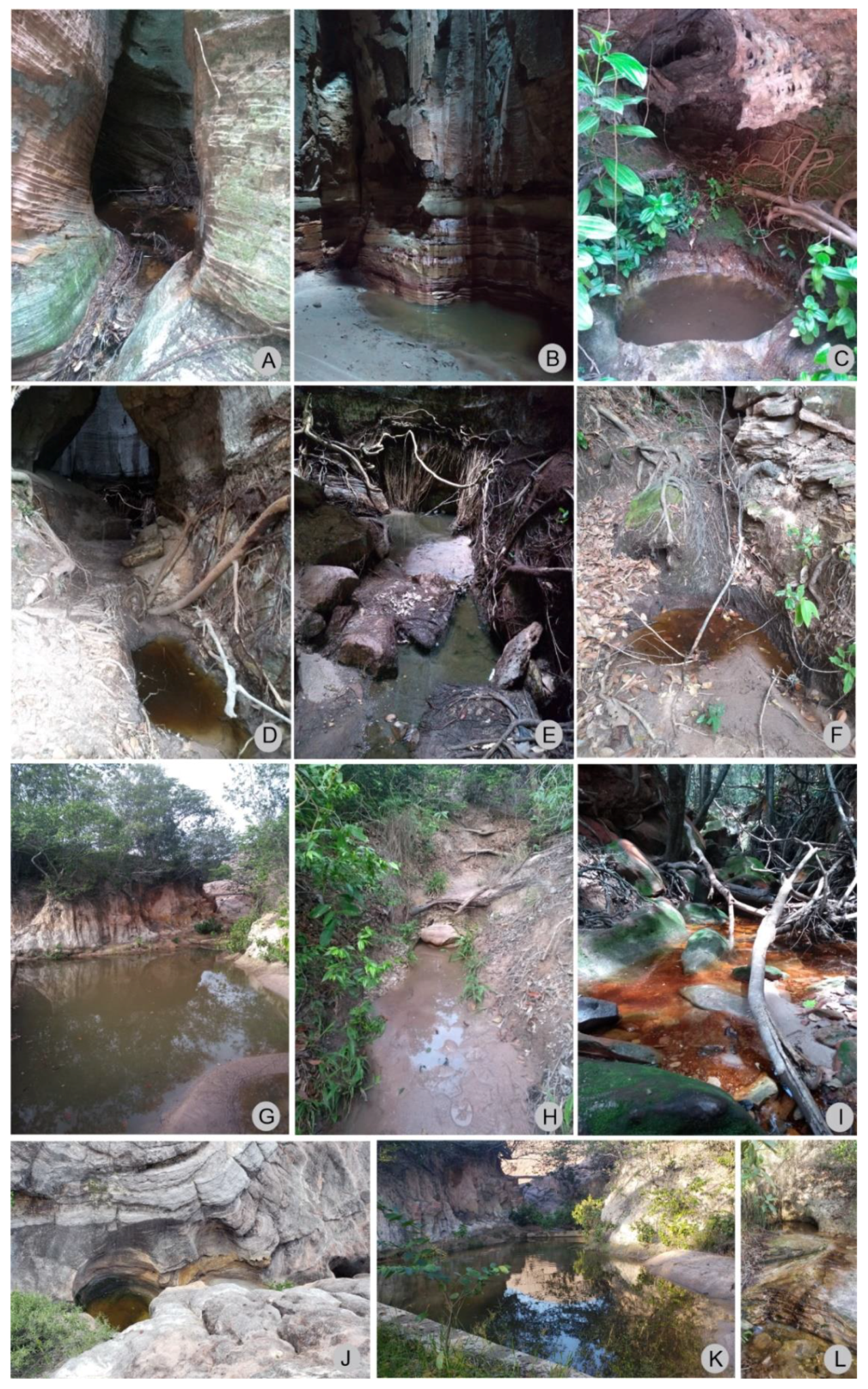 Insects 13 00541 g012