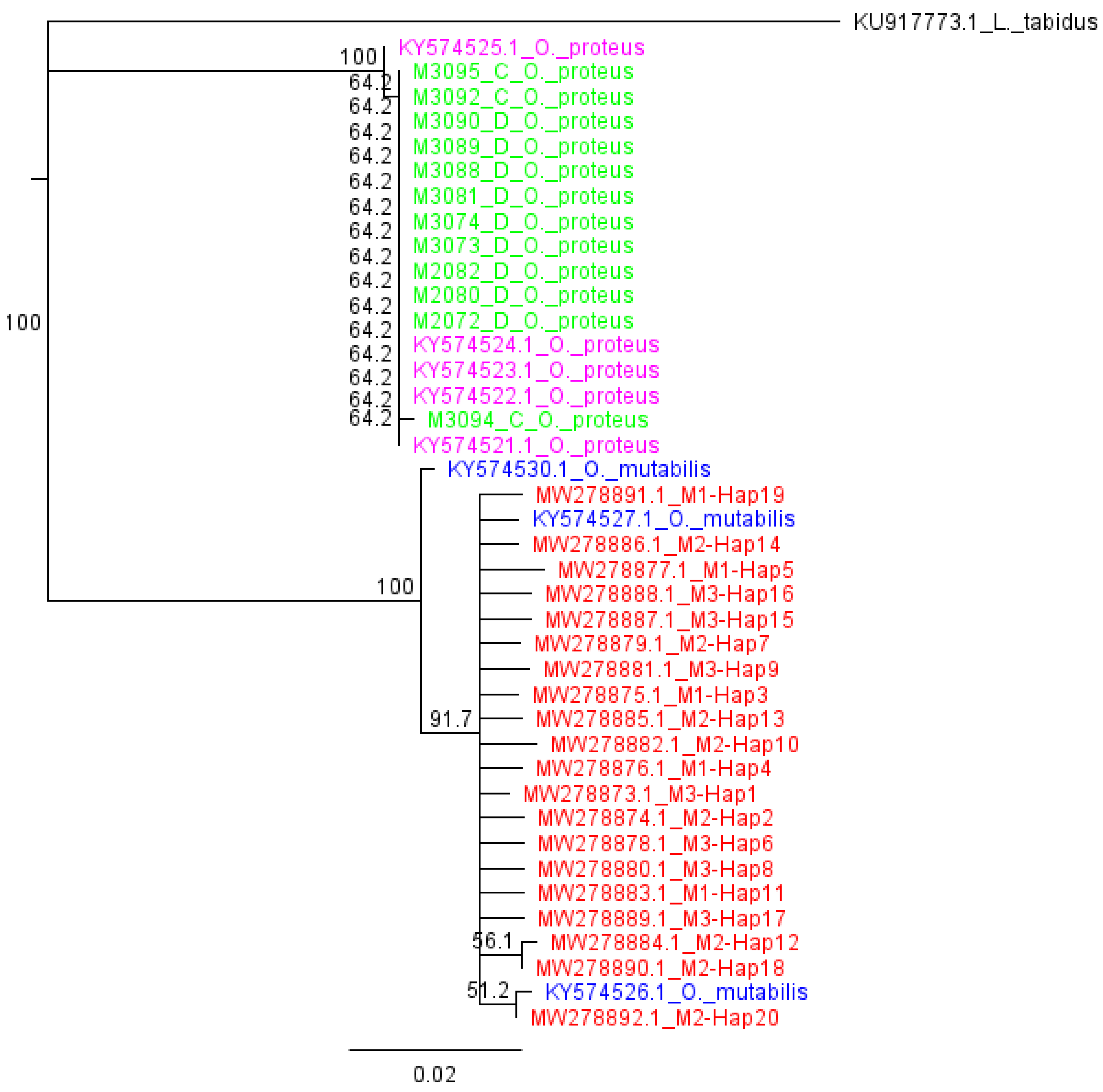 Insects 13 00543 g004