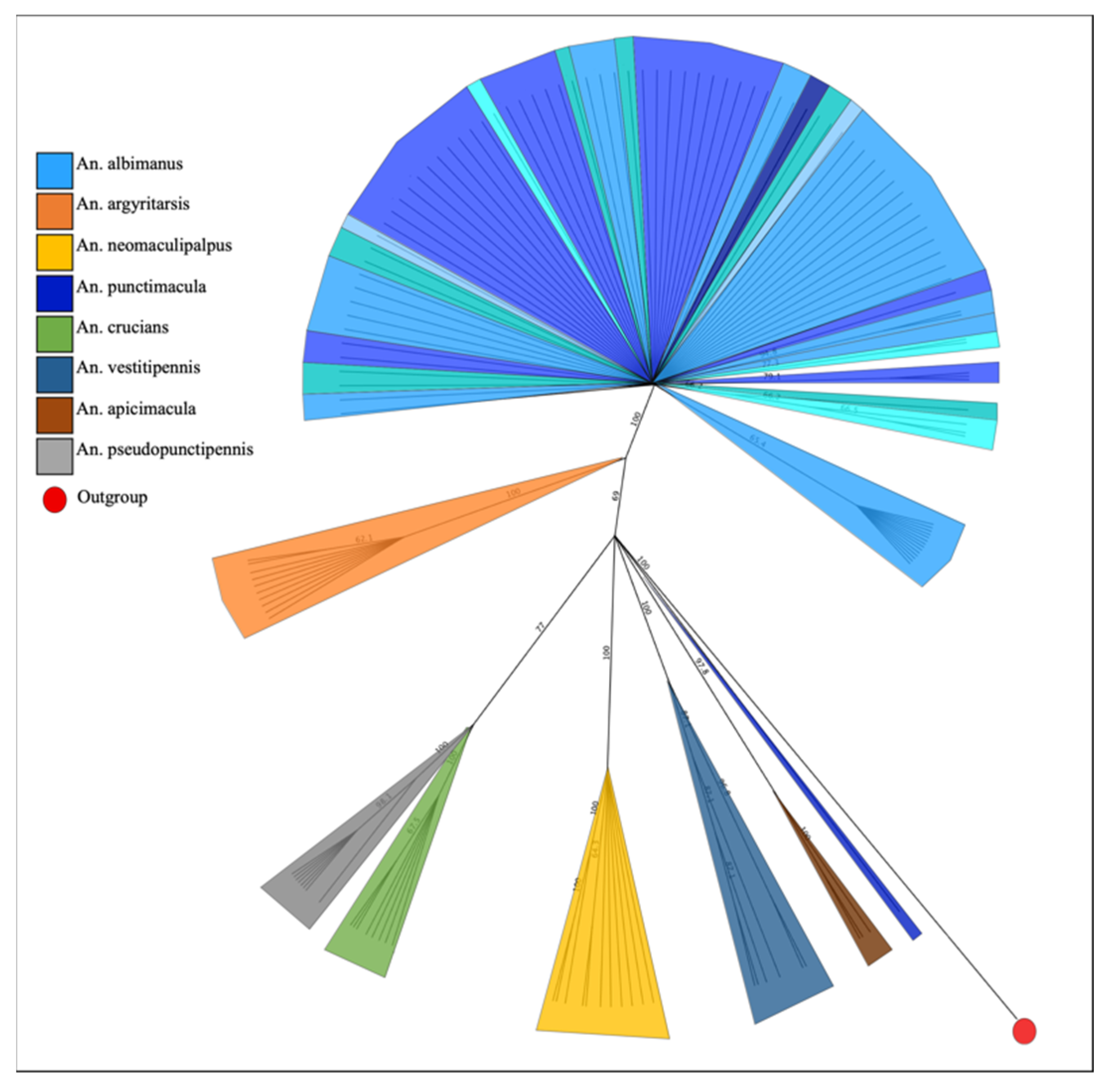 Insects 13 00548 g003