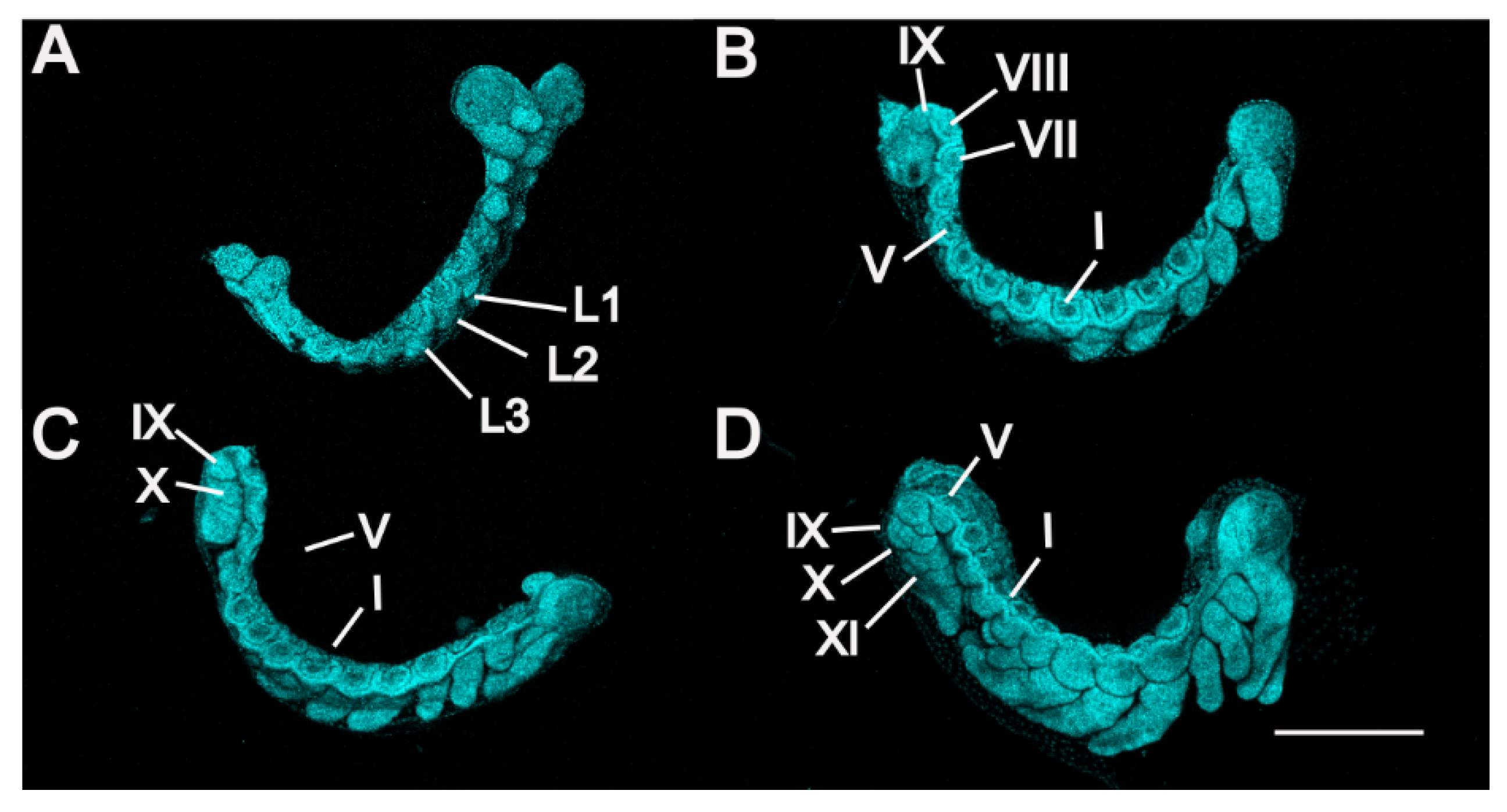 Insects 13 00551 g004