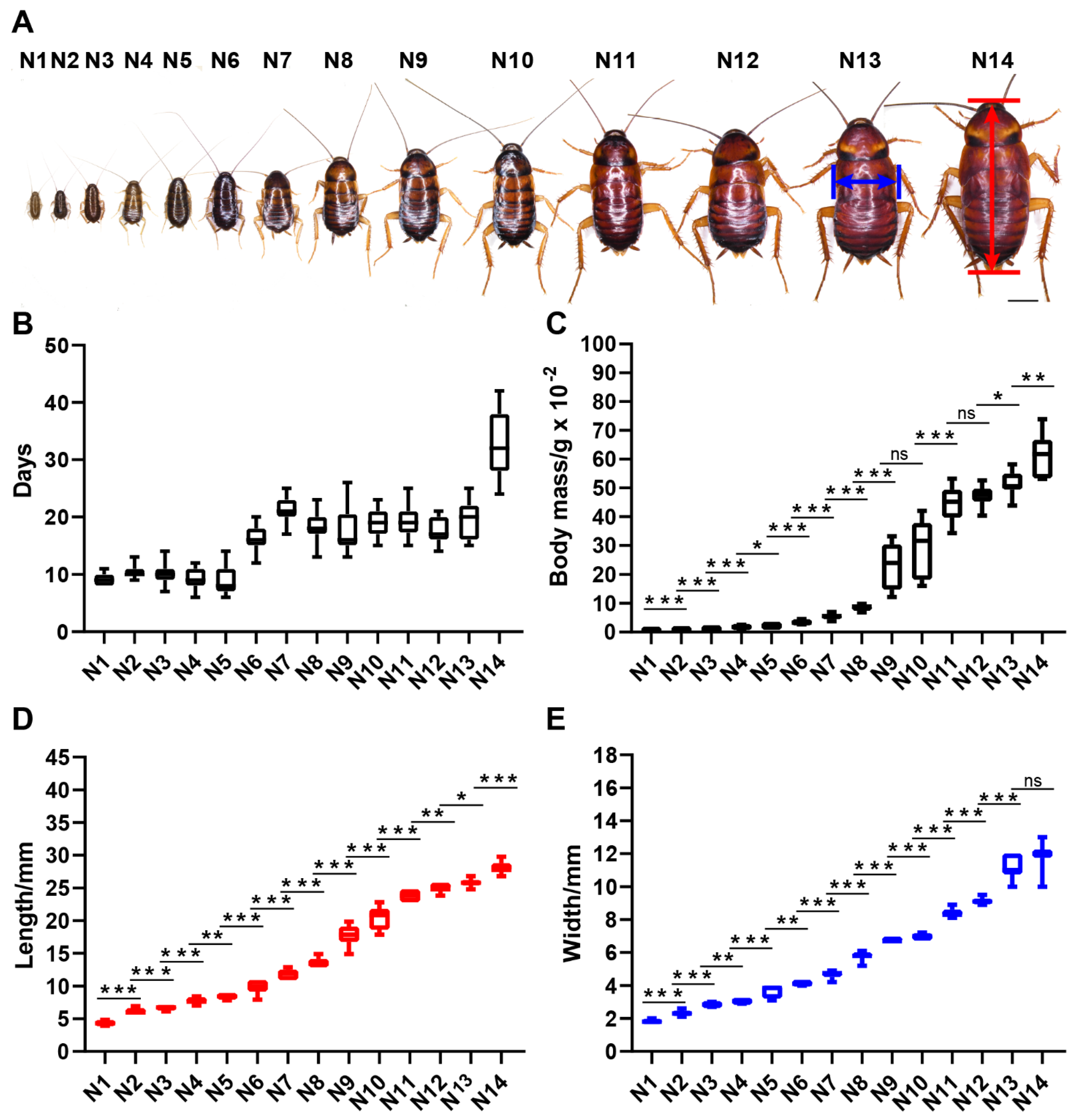 Insects 13 00551 g005
