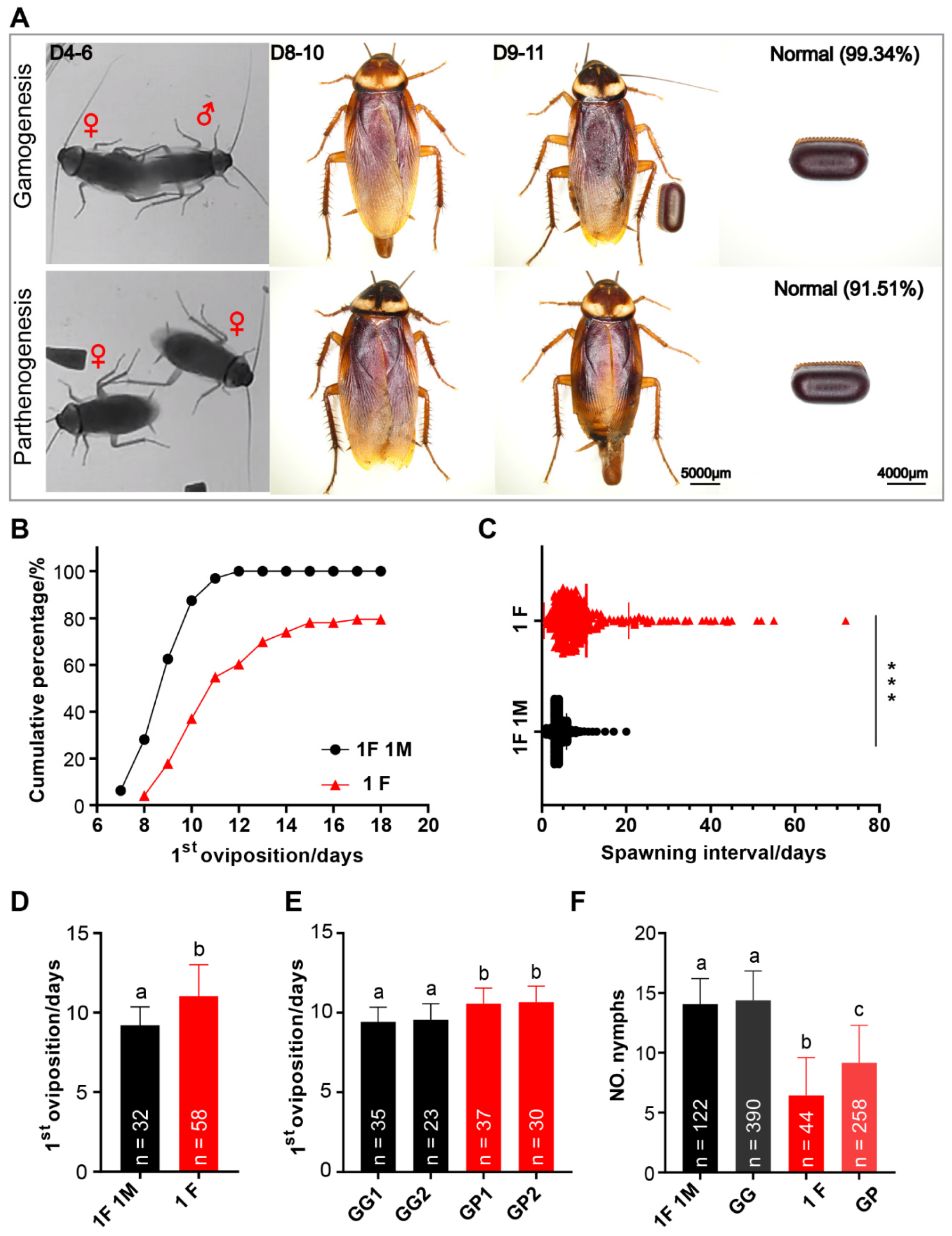 Insects 13 00551 g007