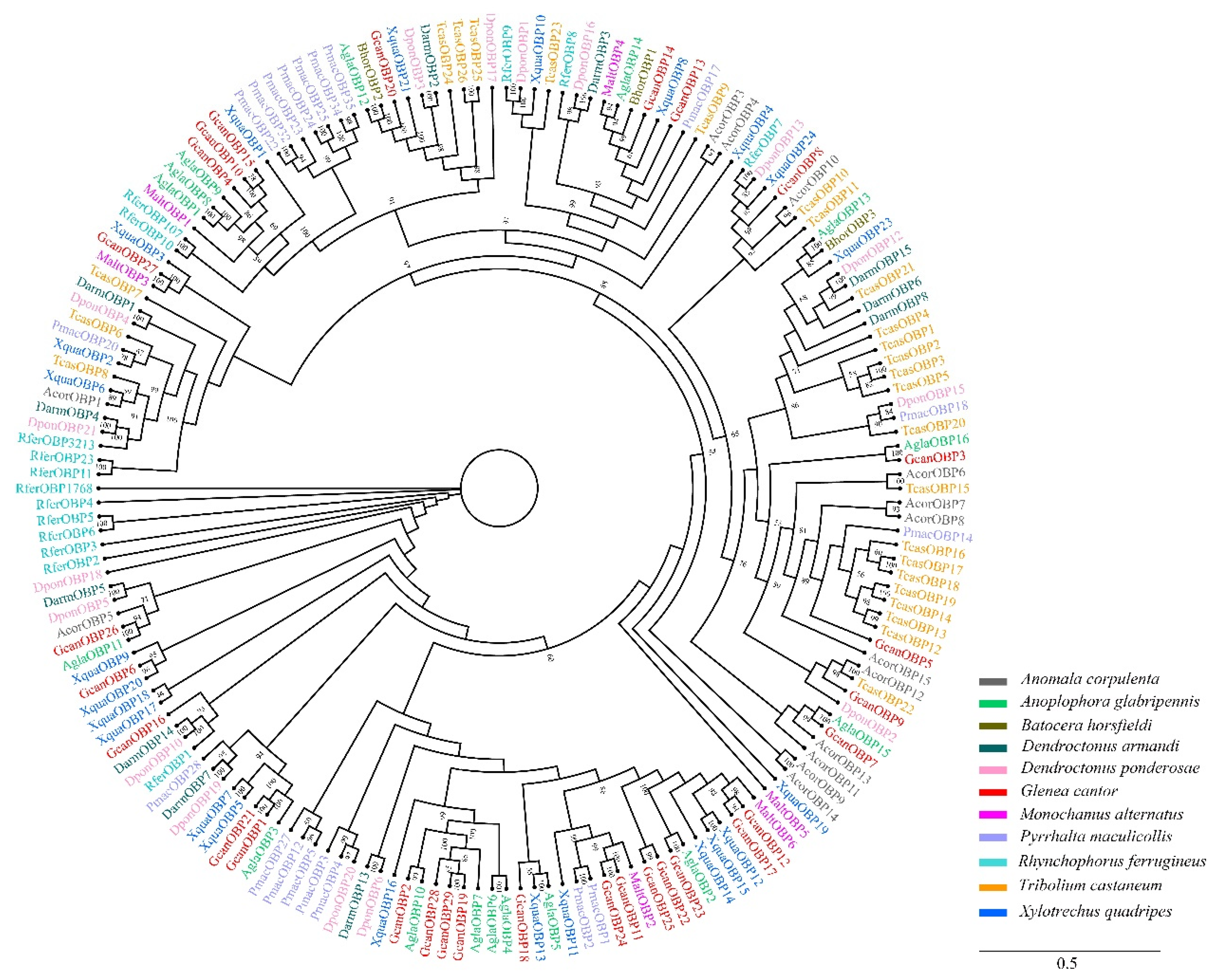 Insects 13 00553 g002