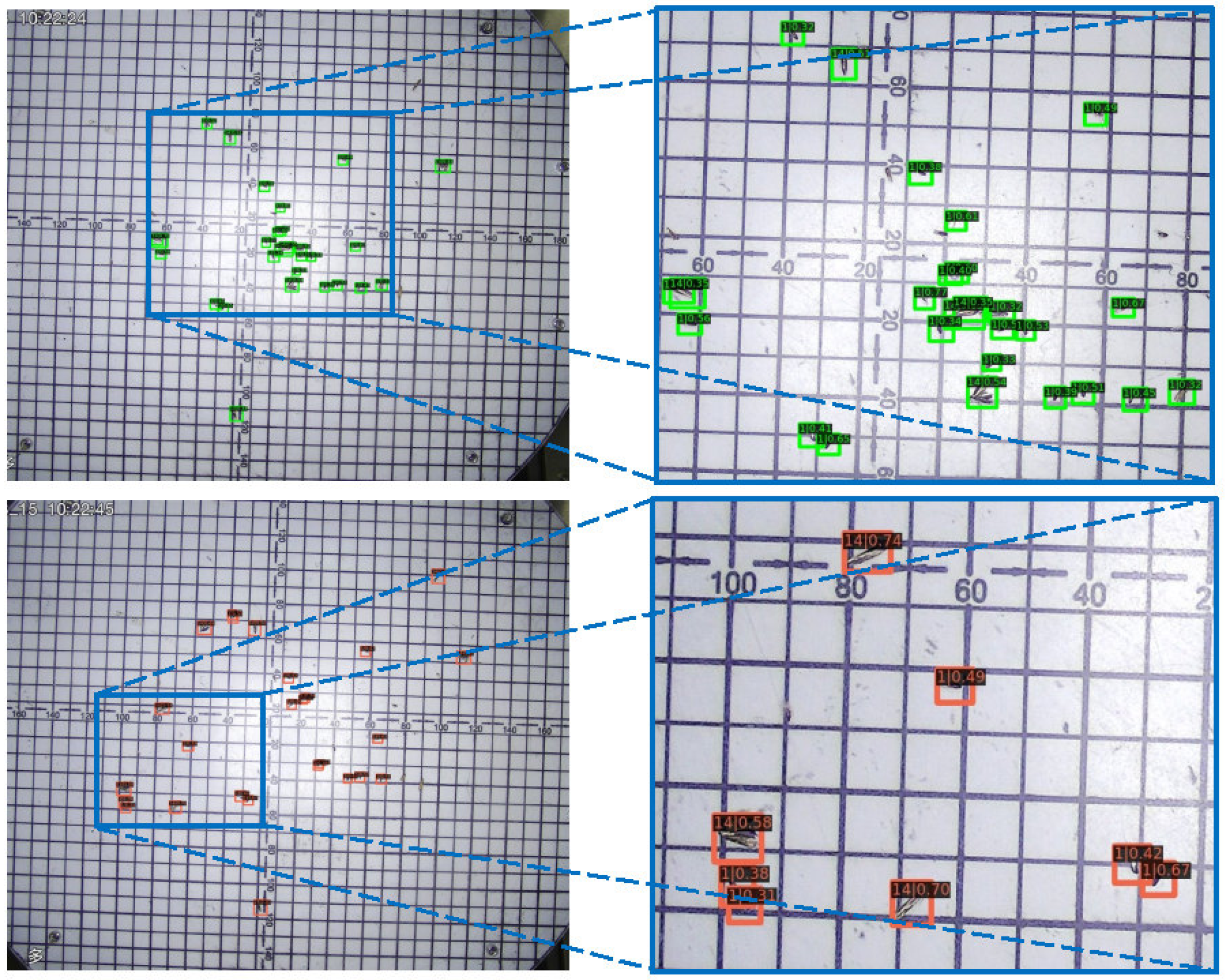 Insects 13 00554 g008