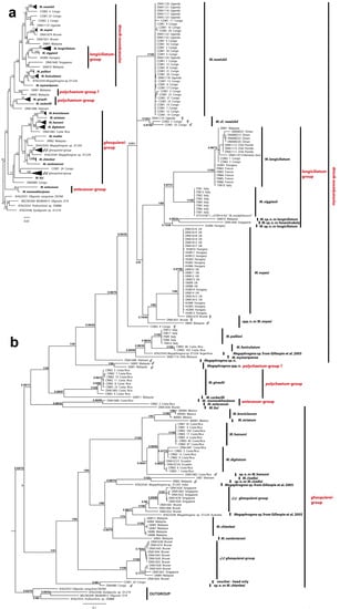 Insects 13 00561 g002