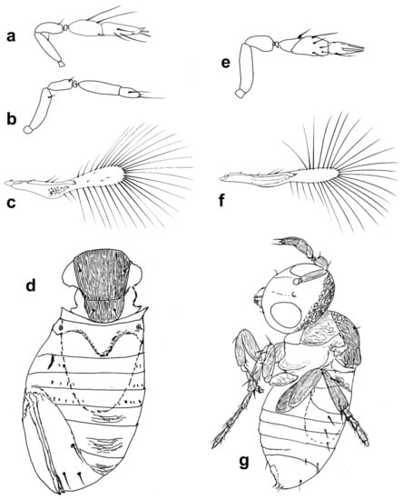 Insects 13 00561 g003