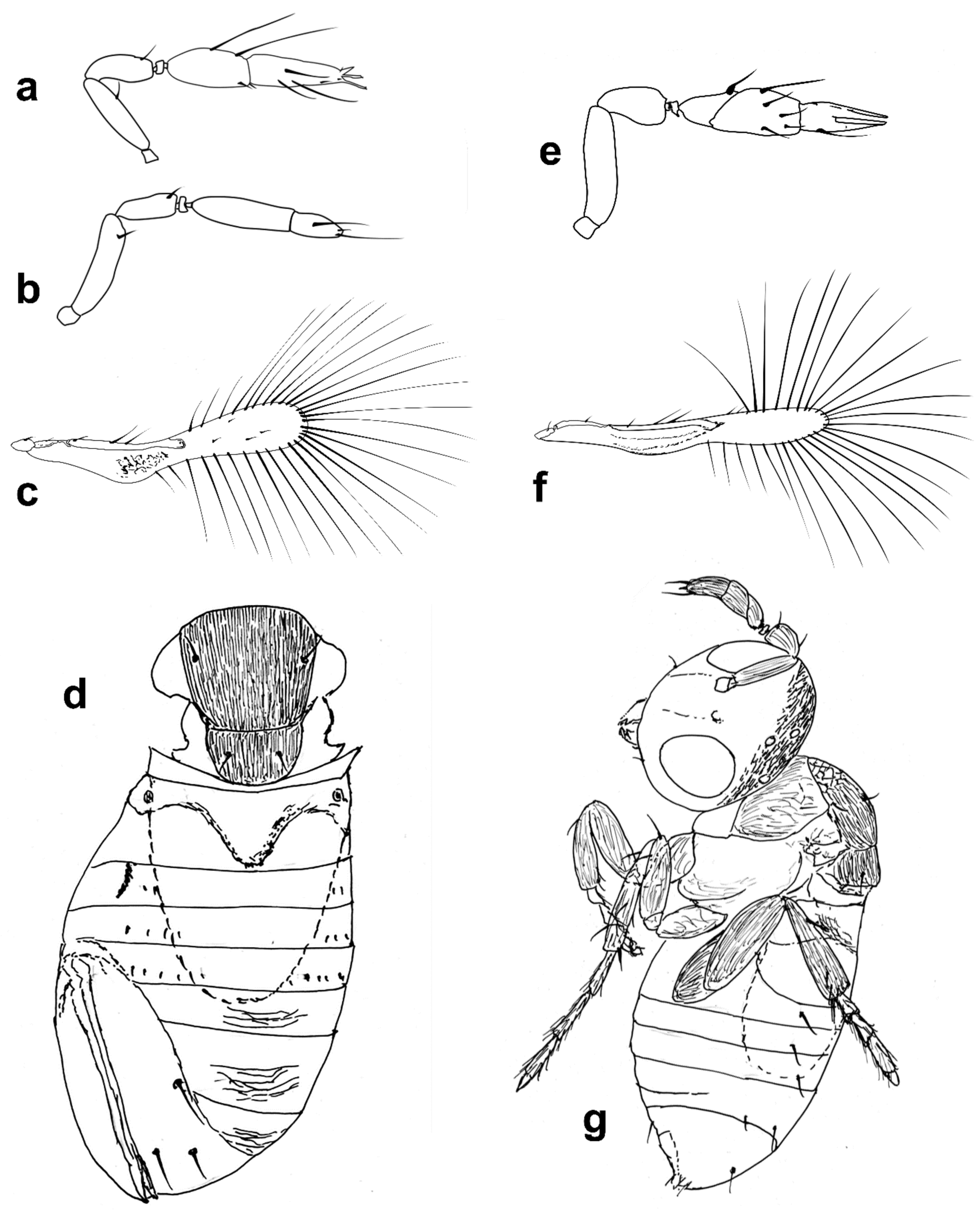 Insects 13 00561 g003