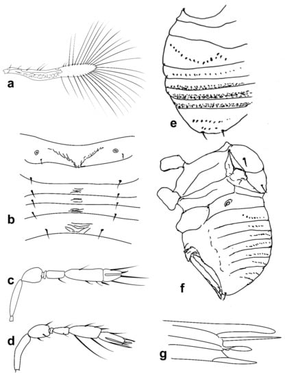 Insects 13 00561 g004