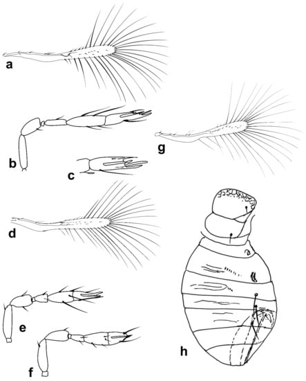 Insects 13 00561 g005