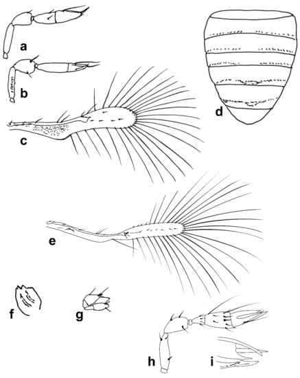 Insects 13 00561 g006