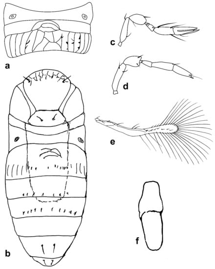 Insects 13 00561 g007