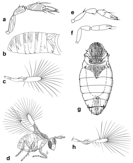 Insects 13 00561 g009