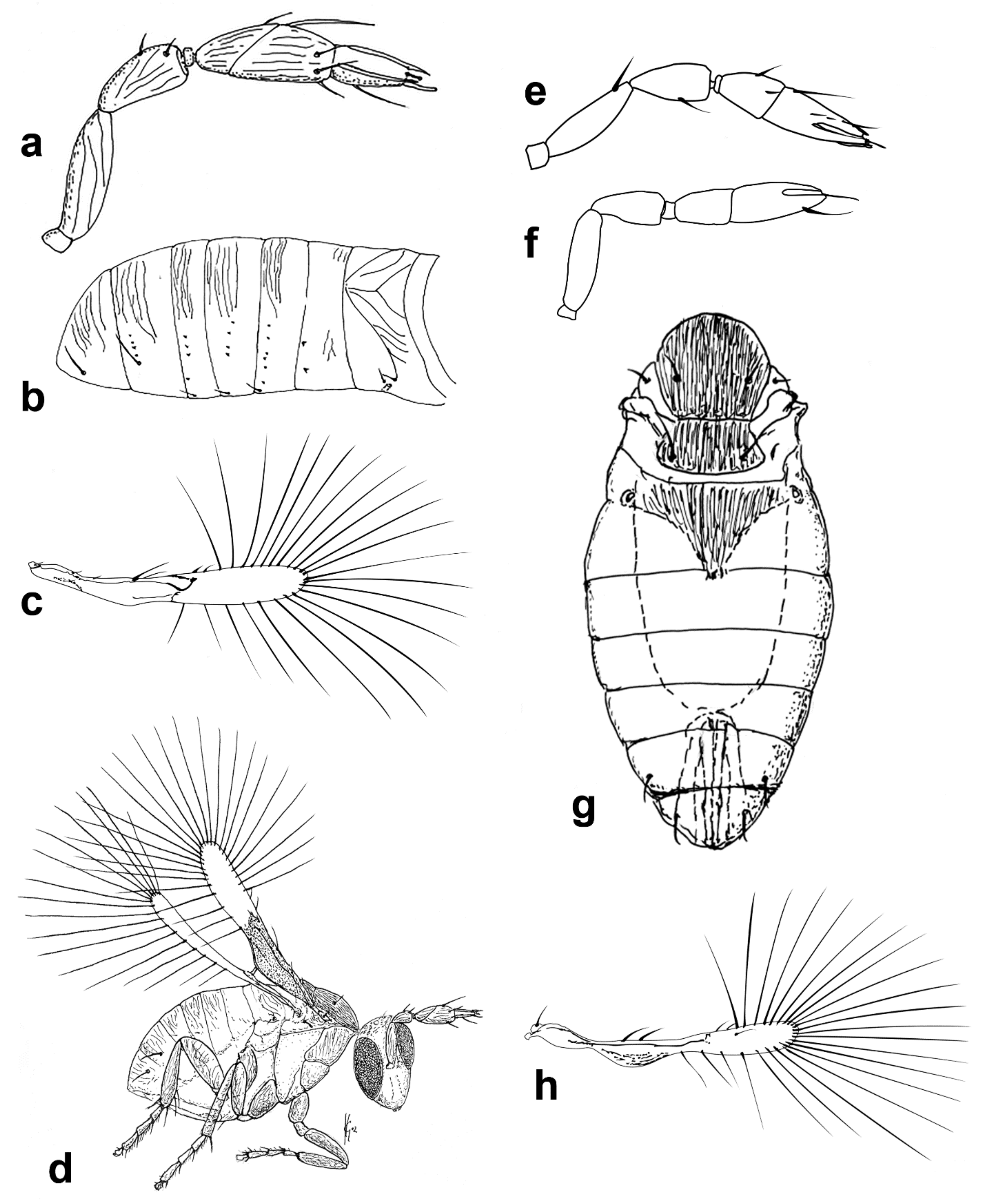 Insects 13 00561 g009