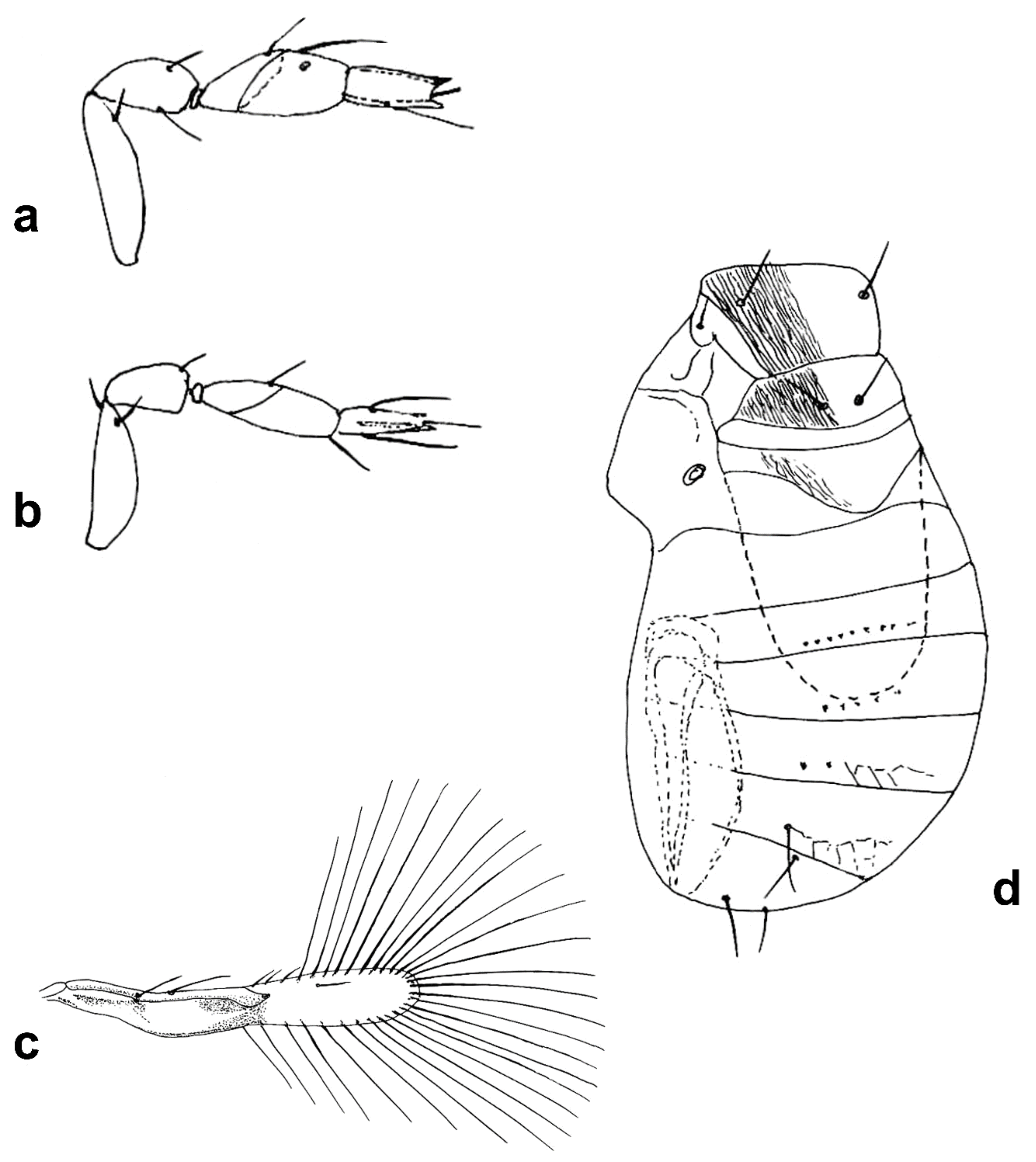 Insects 13 00561 g010