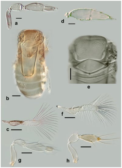 Insects 13 00561 g012