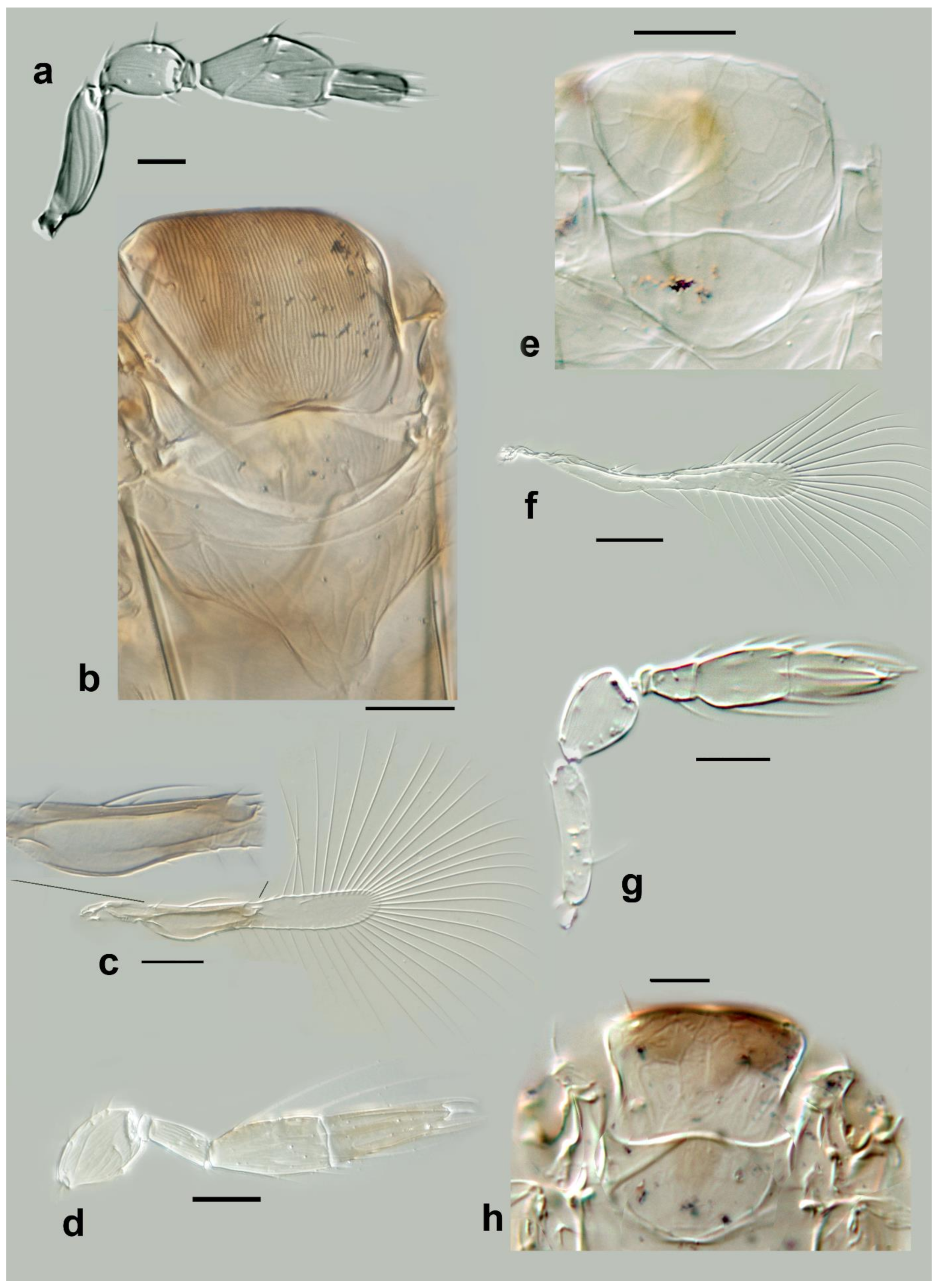 Insects 13 00561 g014