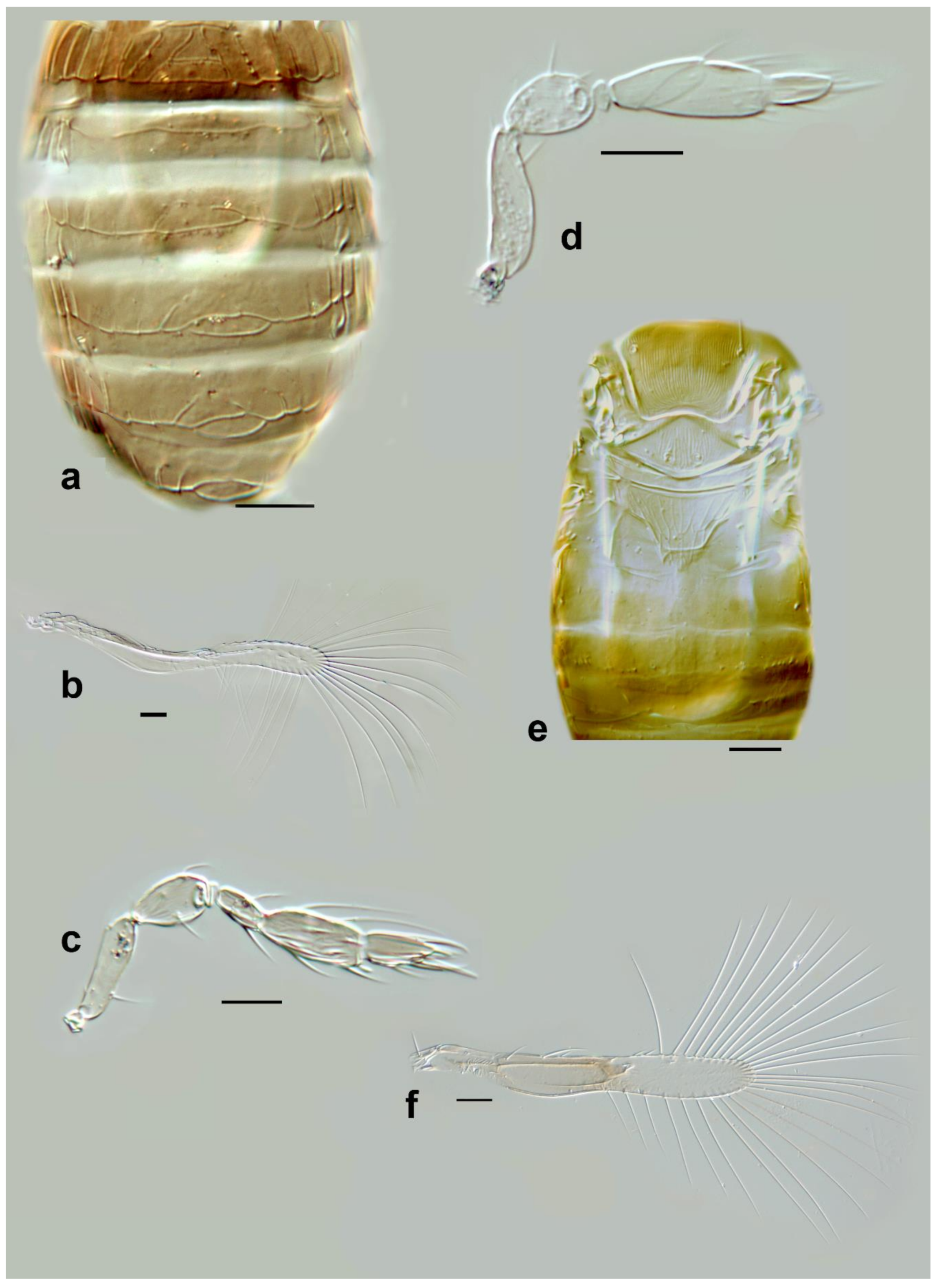 Insects 13 00561 g015