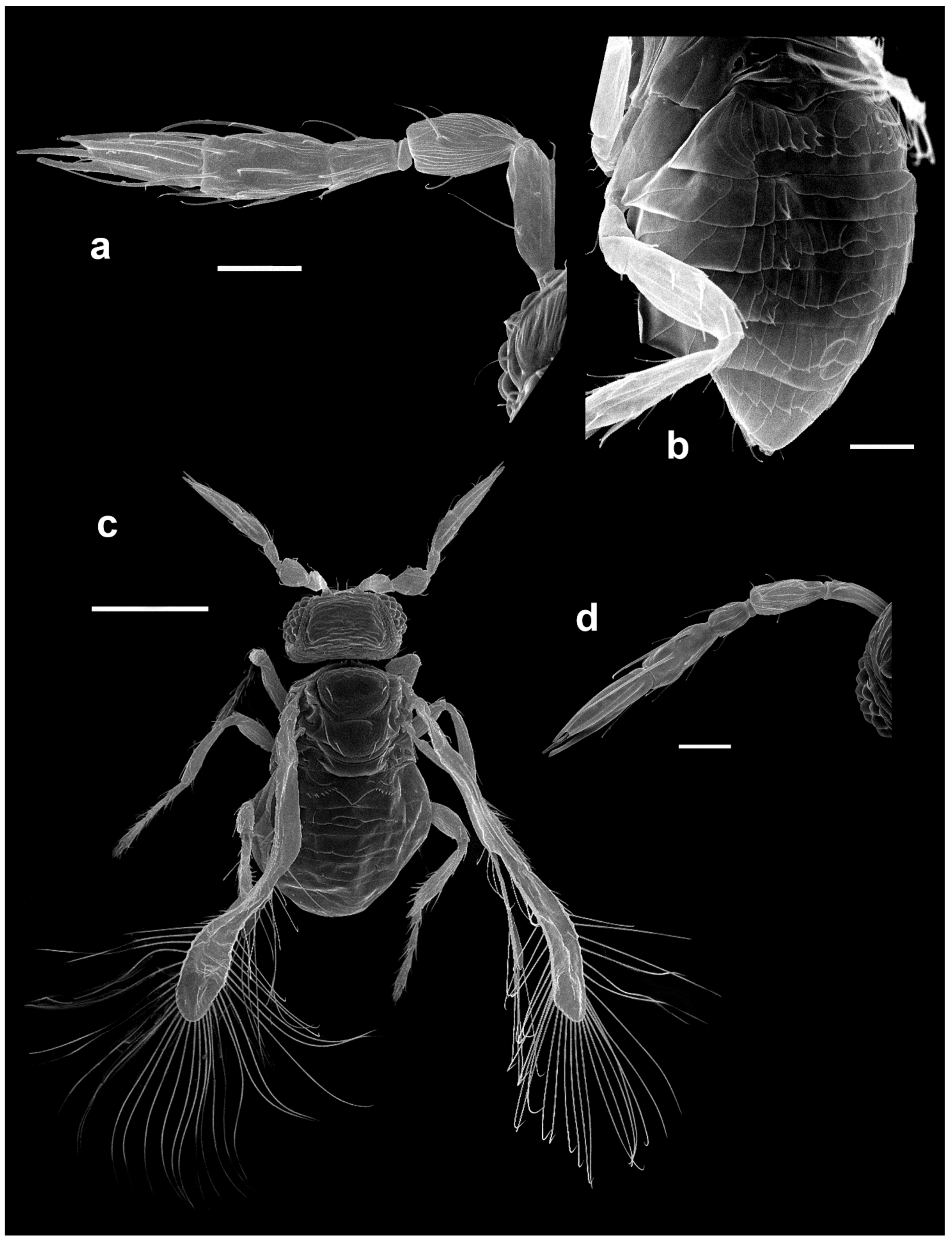 Insects 13 00561 g020