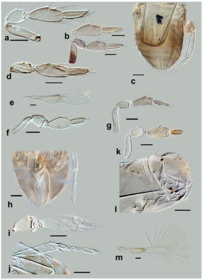 Insects 13 00561 g021