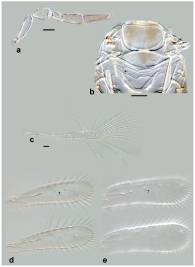 Insects 13 00561 g022