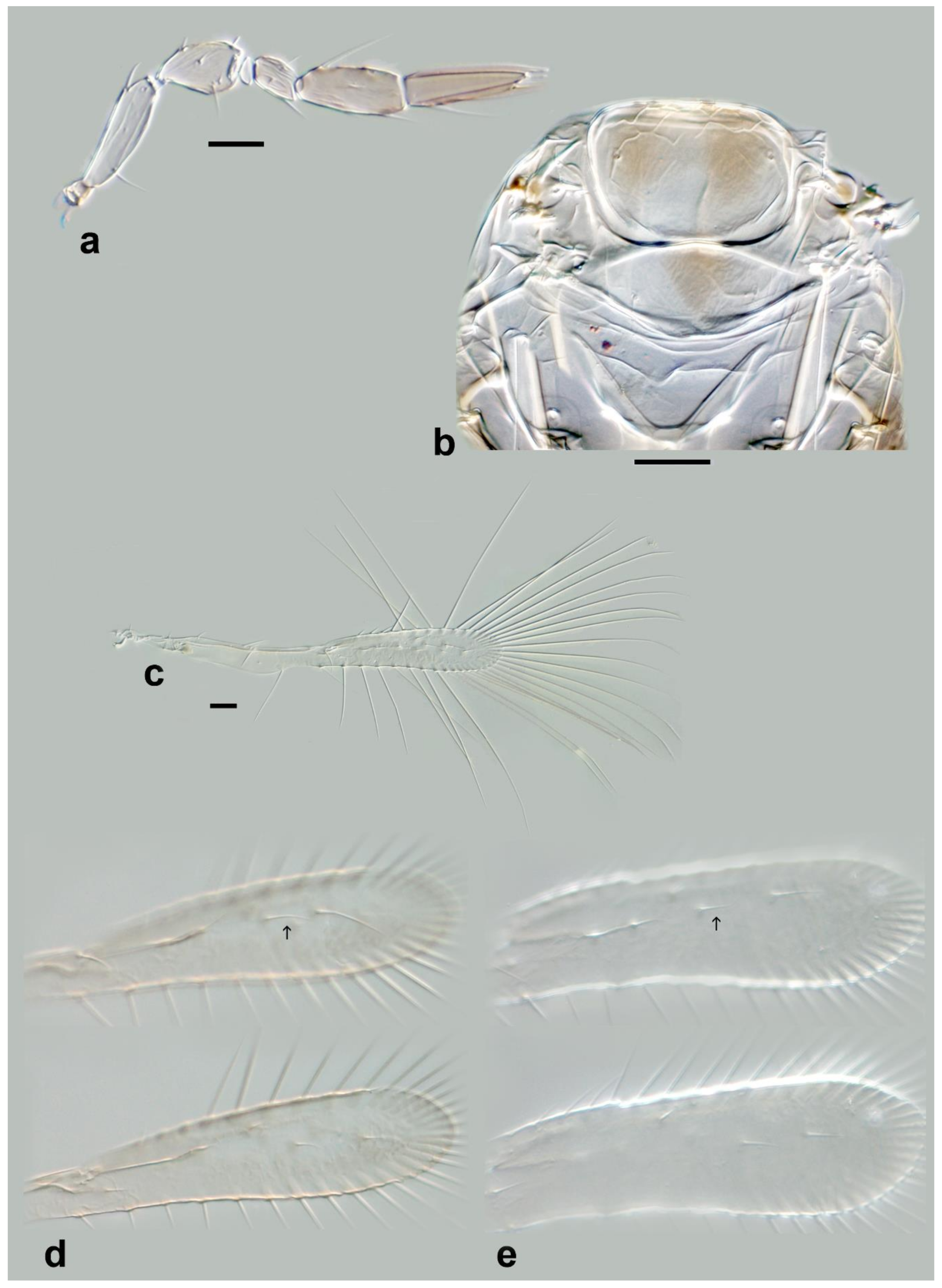 Insects 13 00561 g022