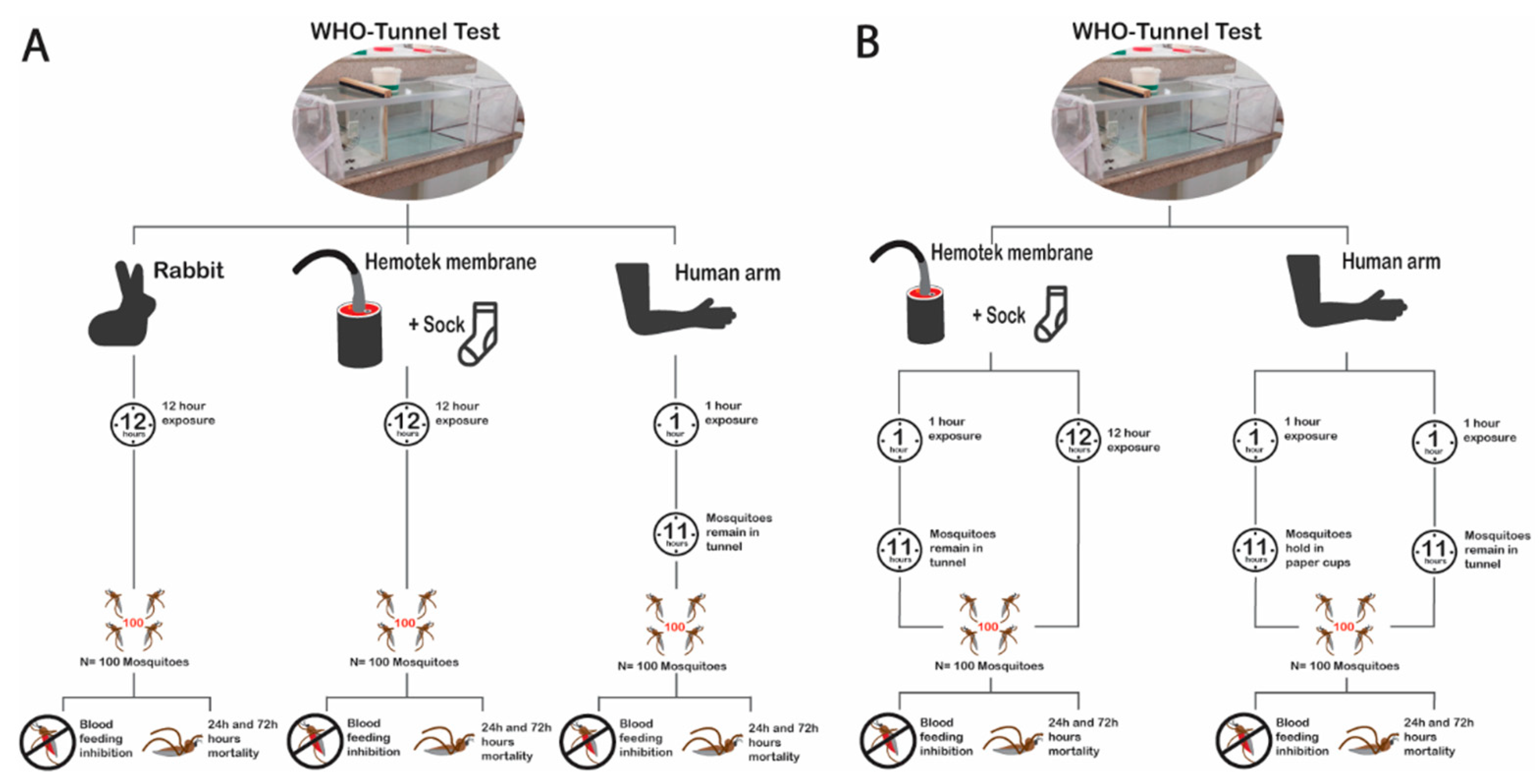 Insects 13 00562 g002